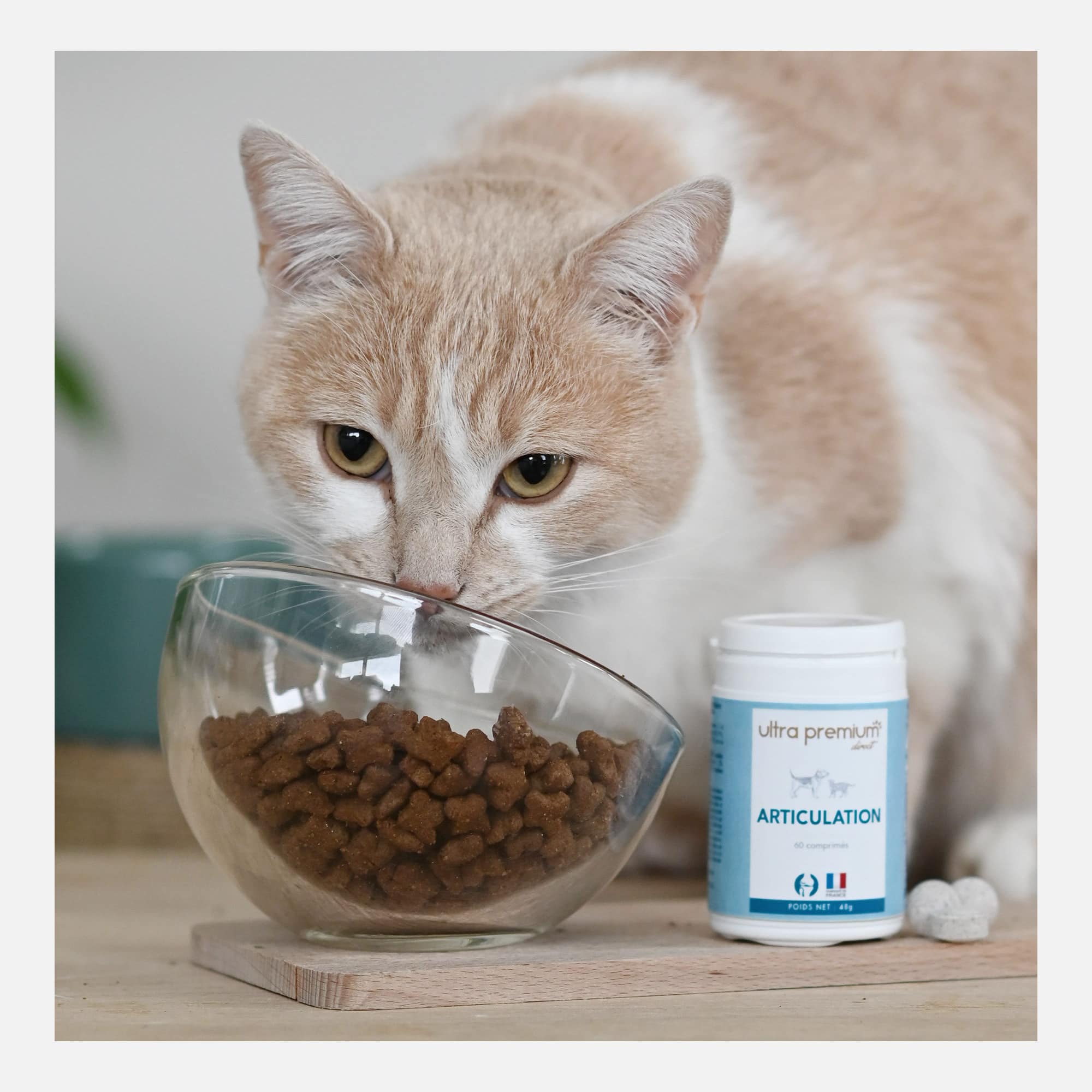 Complément Alimentaire pour Chat - Articulation - 60 comprimés