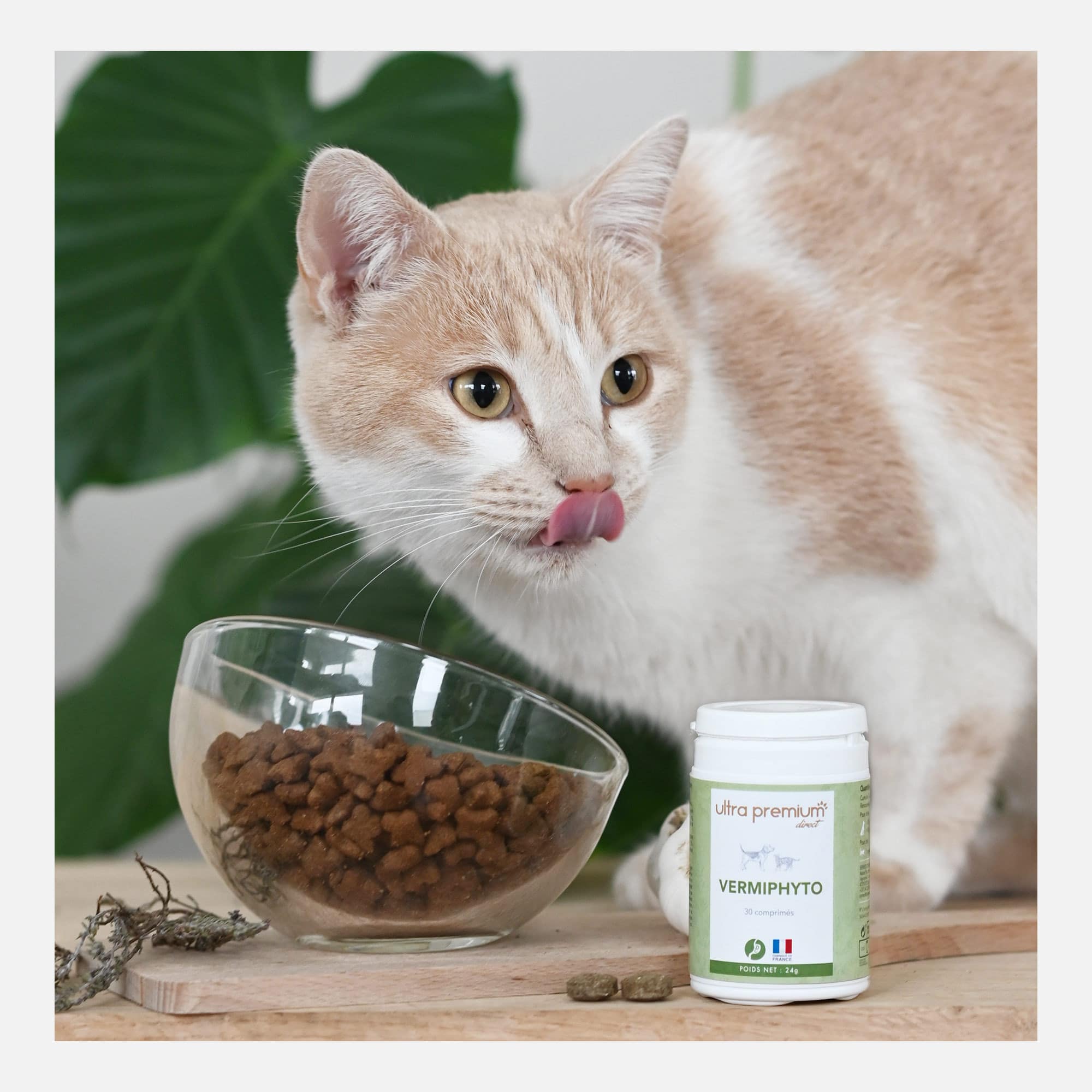 Vermifuge Naturel pour chat - Vermiphyto - 30 comprimés