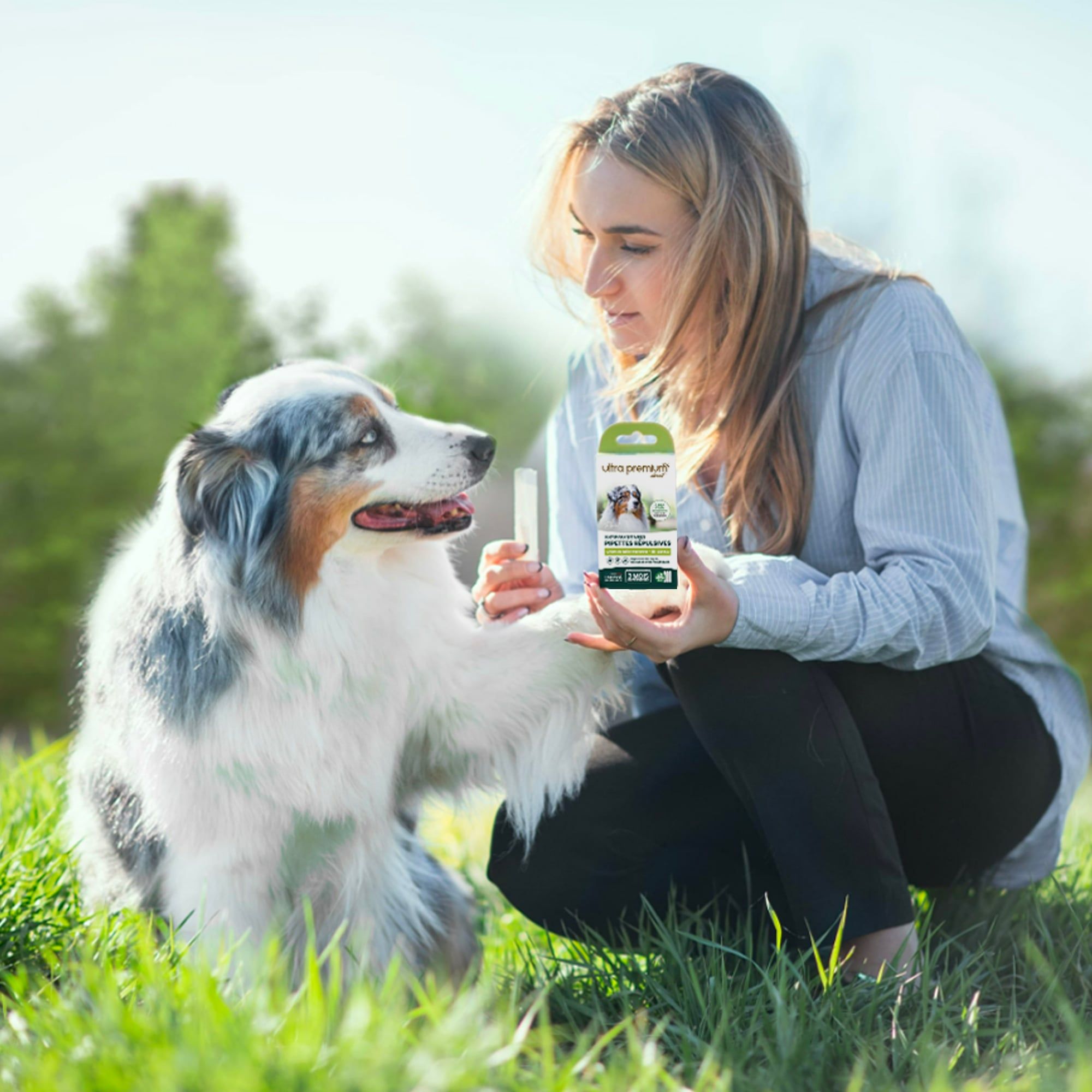 Berger australien assis dans l'herbe à côté de son maître et des pipettes répulsives antiparasitaires pour chien de taille moyenne (15 à 30 kg)