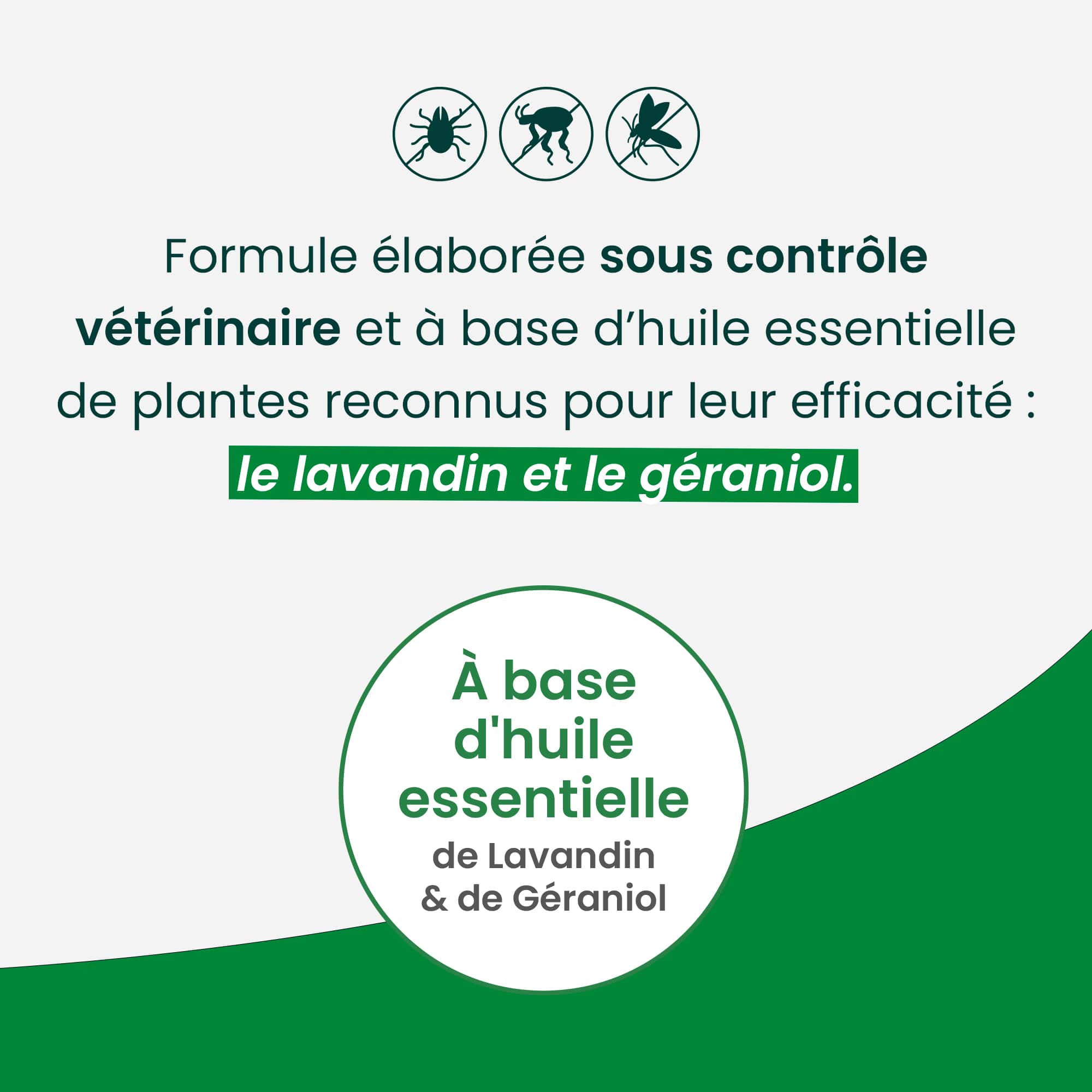 Formule vétérinaire à base d'huiles essentielles de lavandin et de géraniol contre les parasites.