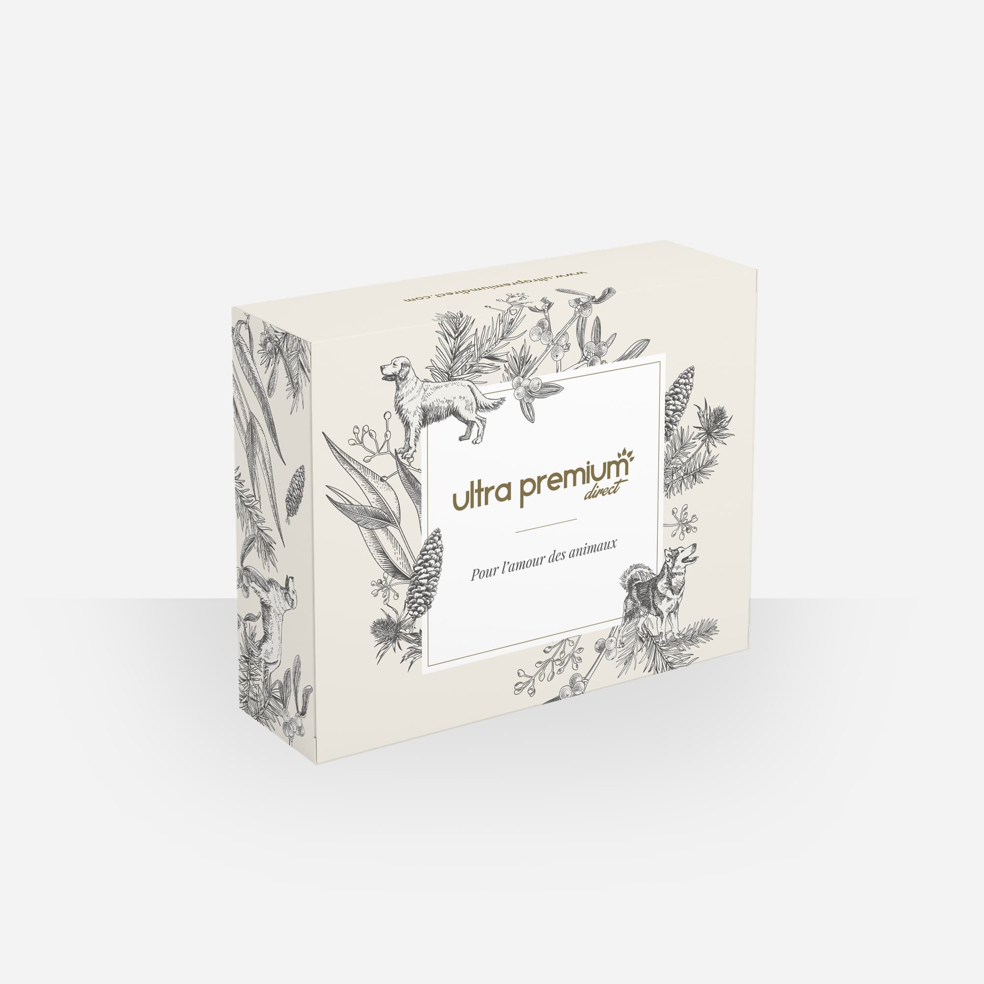 Box Cadeau pour chien