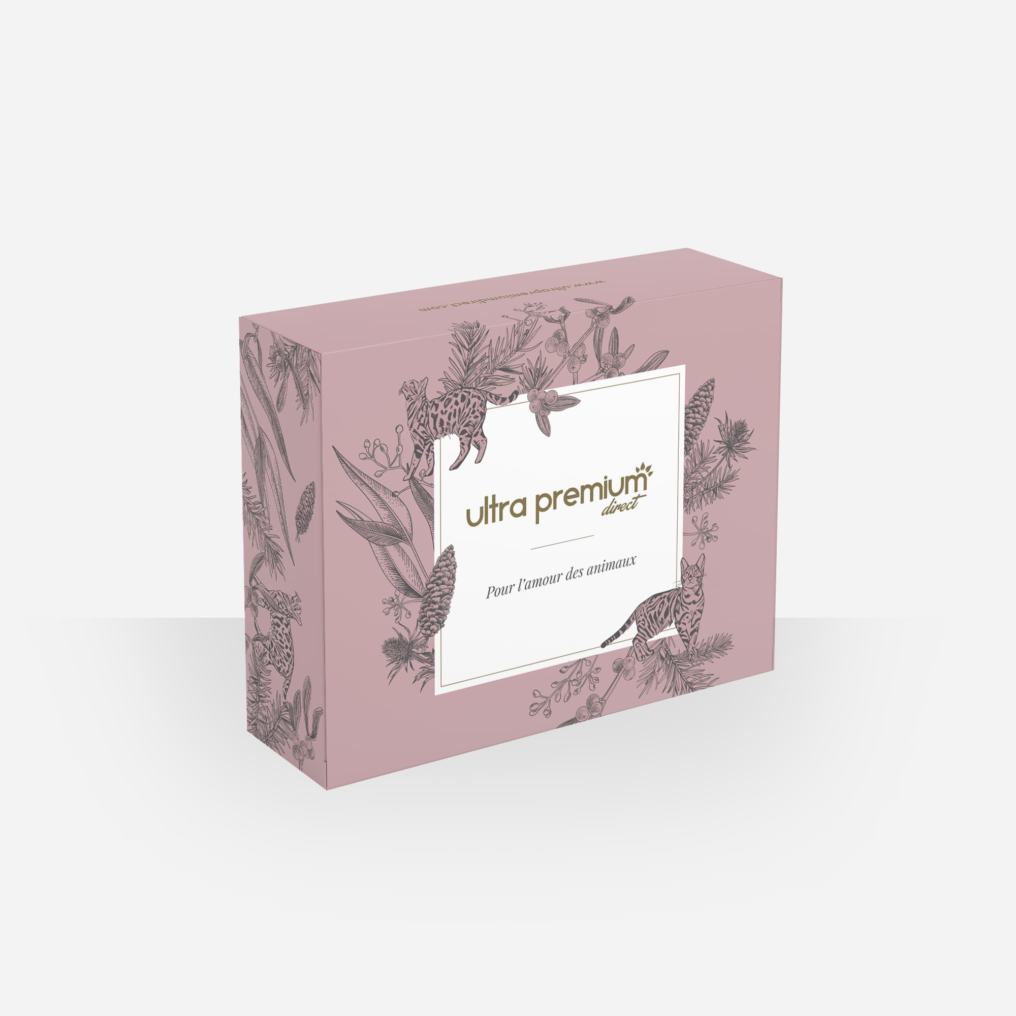 Box Cadeau pour chat