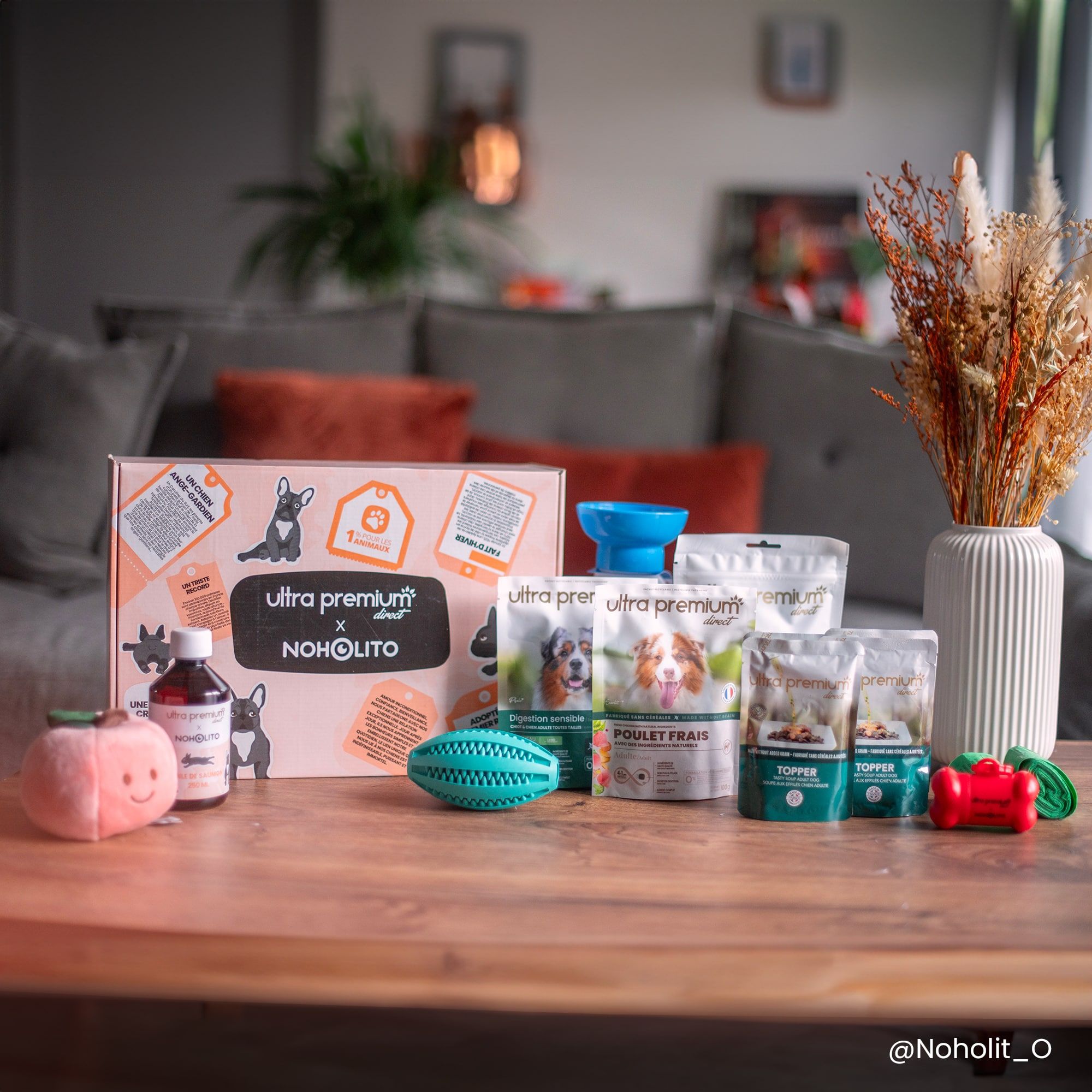 Box cadeau pour Chien