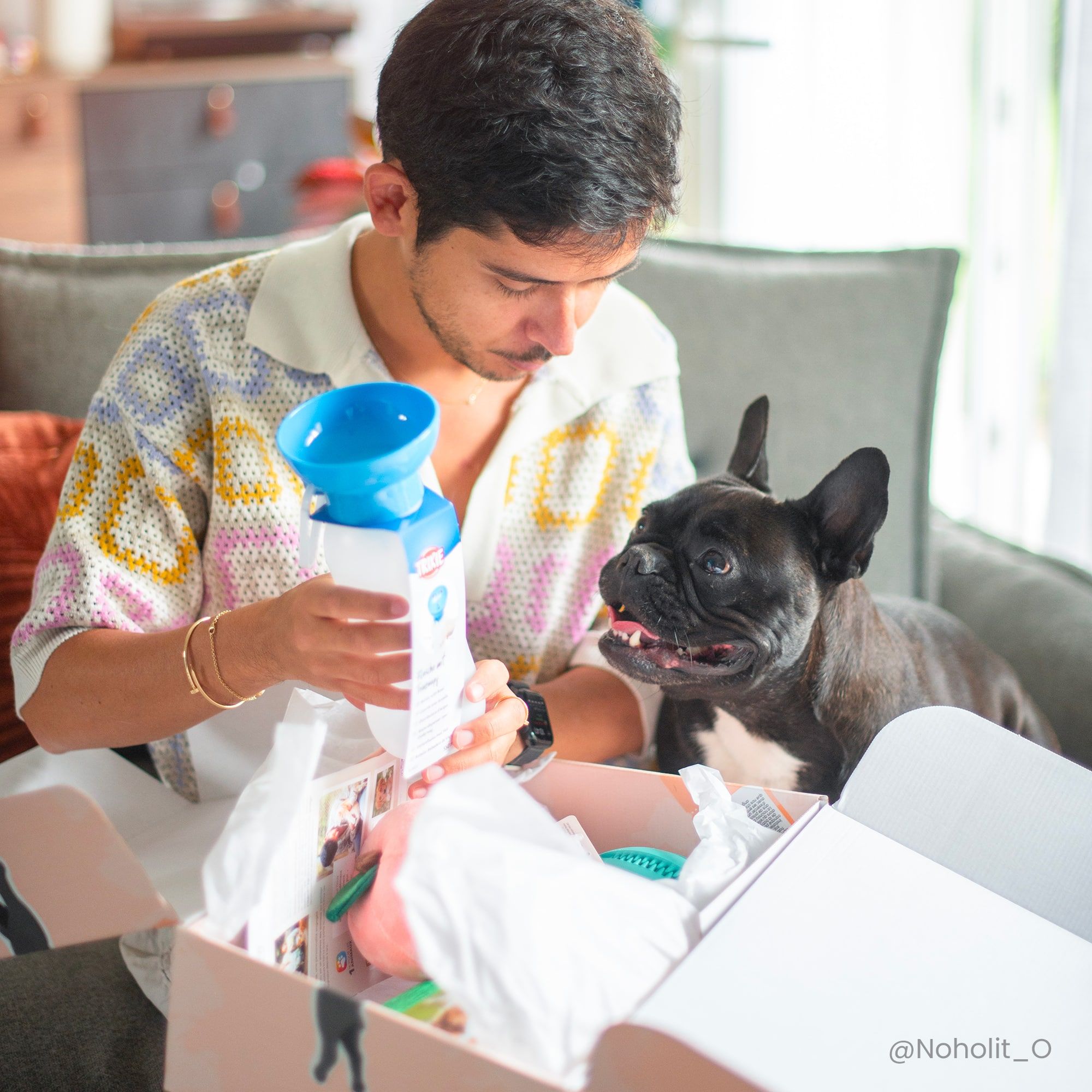 Box cadeau pour Chien