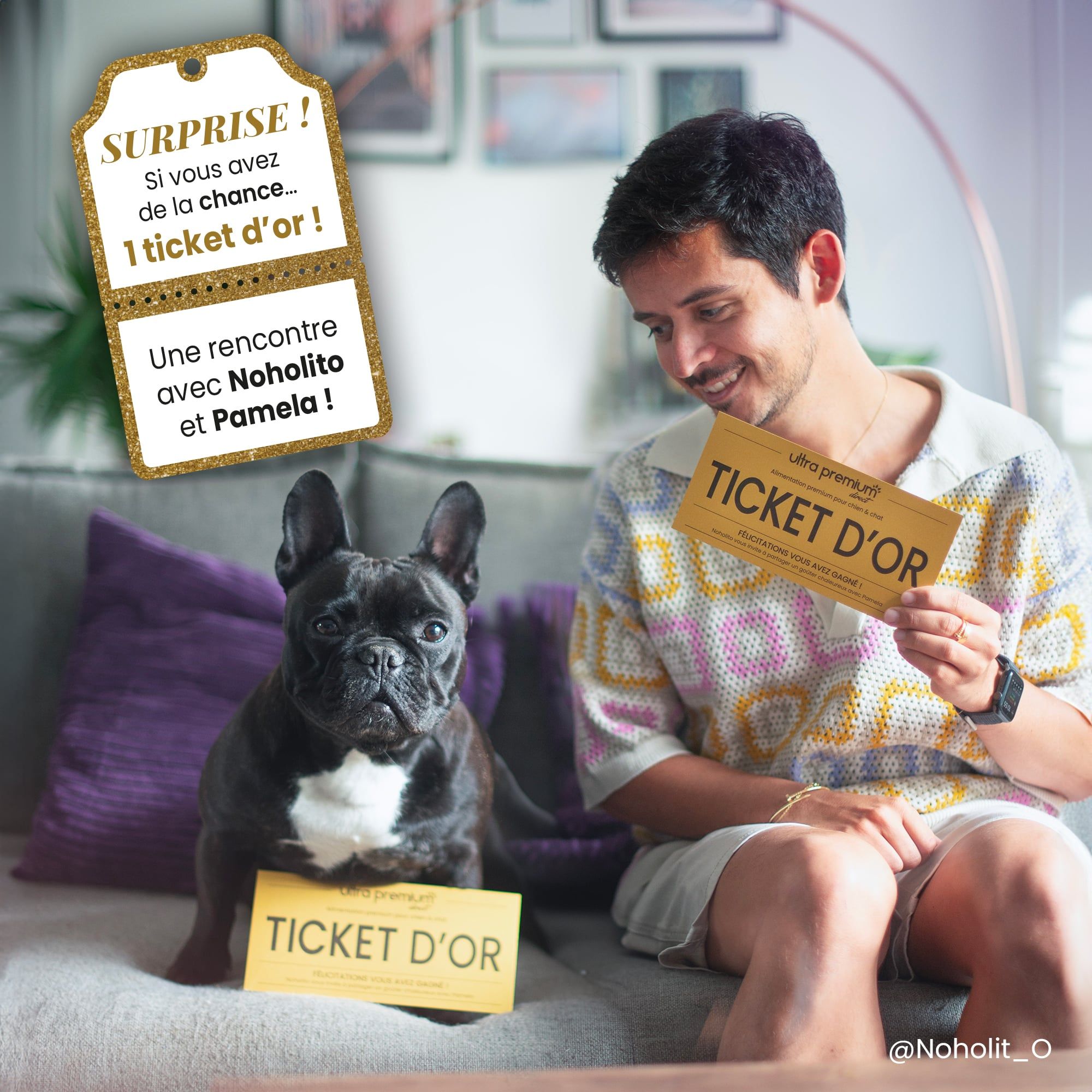 Box cadeau pour Chat