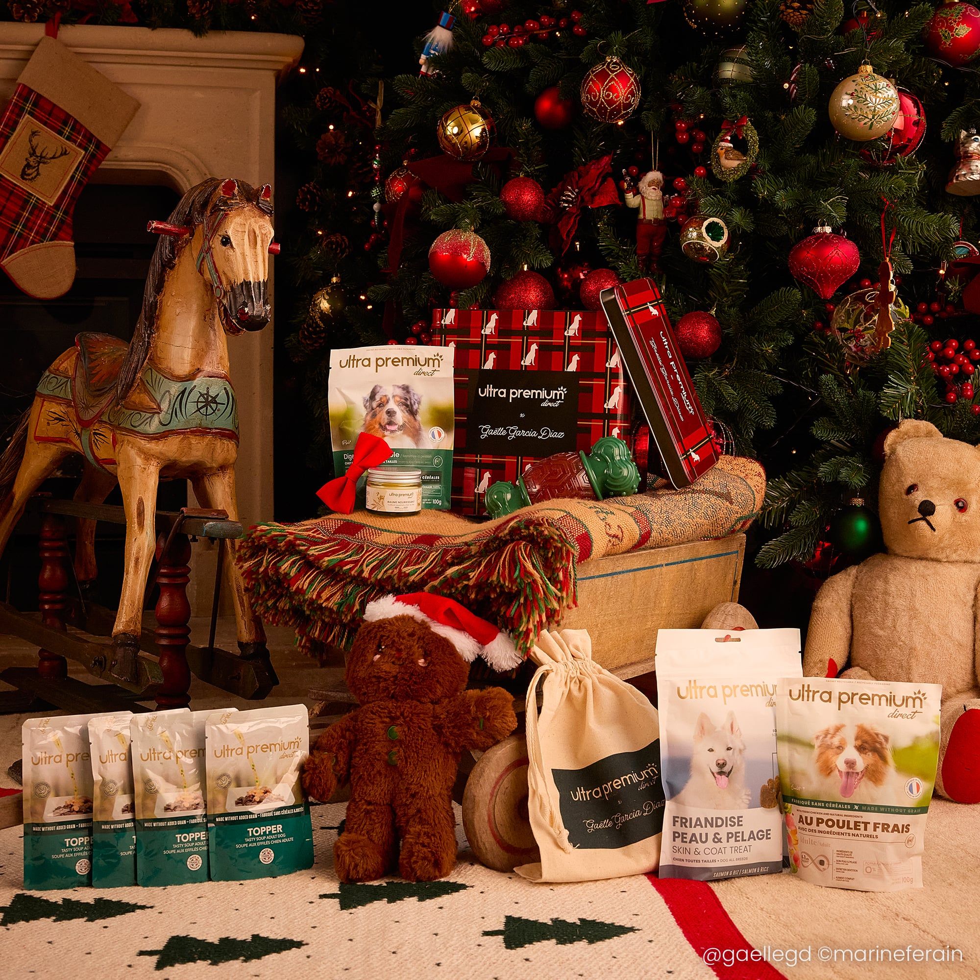 Coffret de Noël pour chien dans une ambiance de Noël avec tous les produits qu'elle contient