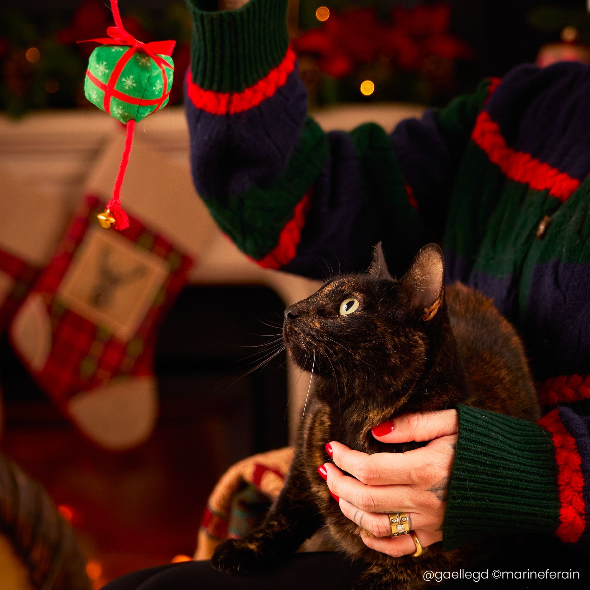 Gaëlle et son chat entrain de jouer avec une canne à pêche