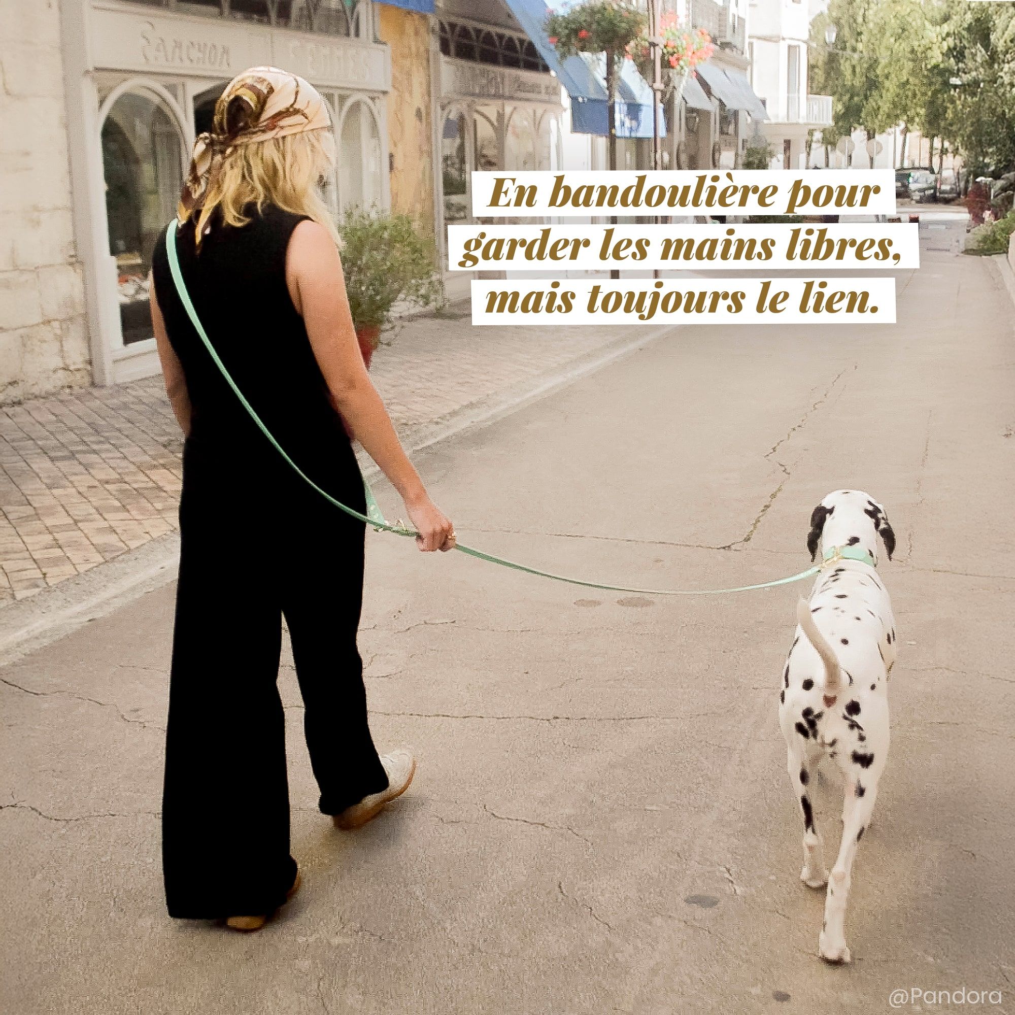 Dalmatien en promenade avec un laisse multi-positions vert sauge Fidèle Paris en partenariat avec Ultra Premium Direct