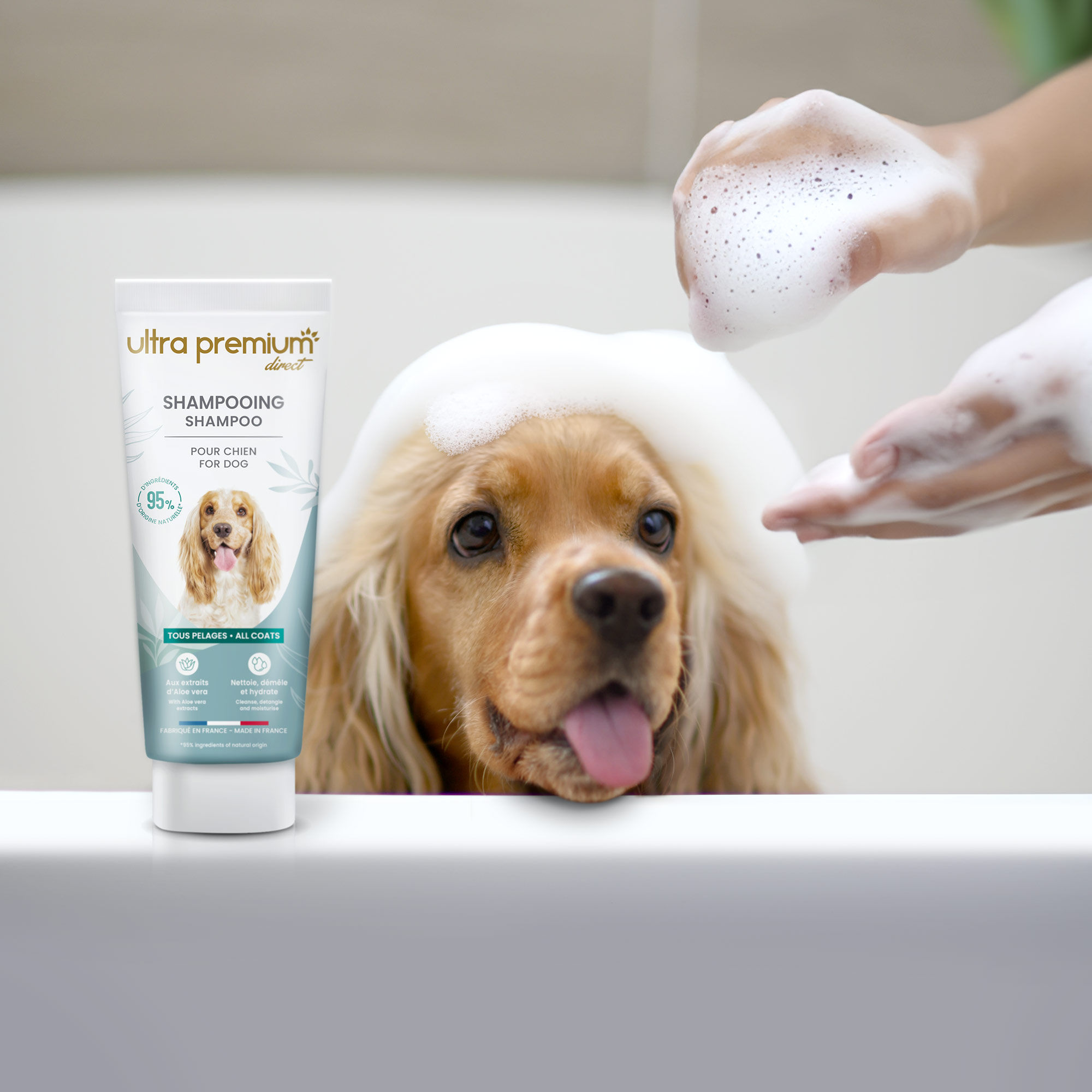 Cocker anglais assis dans une baignoire avec de la mousse et le shampooing pour tous pelages posé à côté