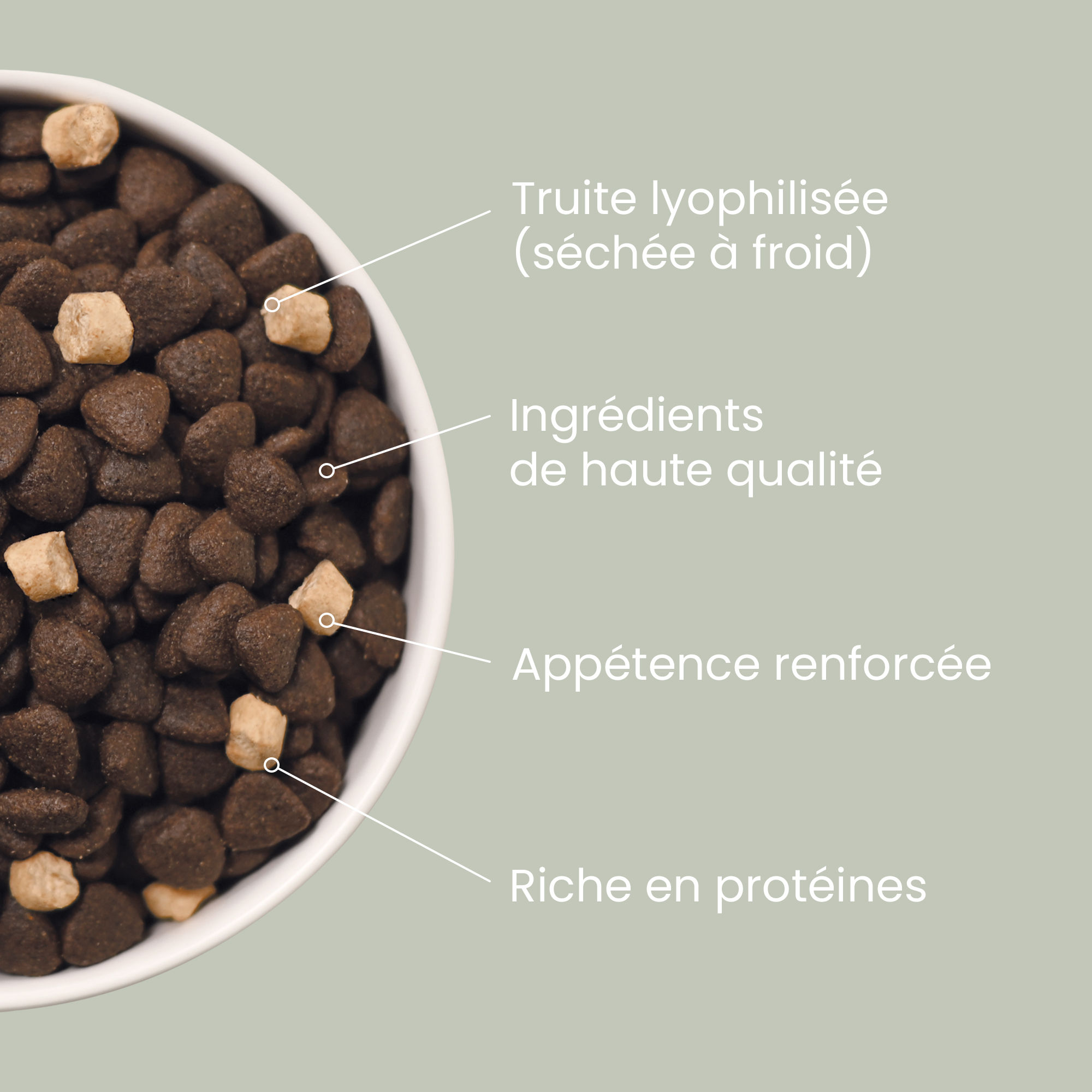 Akita Inu devant une gamelle de croquettes vue de dessus et détails produit à droite