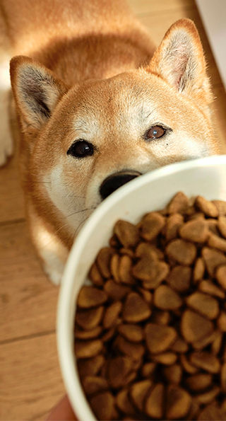 Inscrivez-vous à notre newsletter