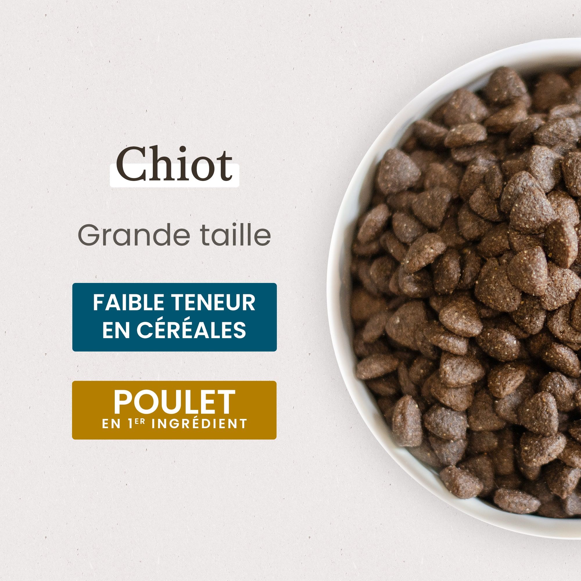Zoom gamelle contenant les croquettes Super Premium pour chiot de grande taille en gros plan