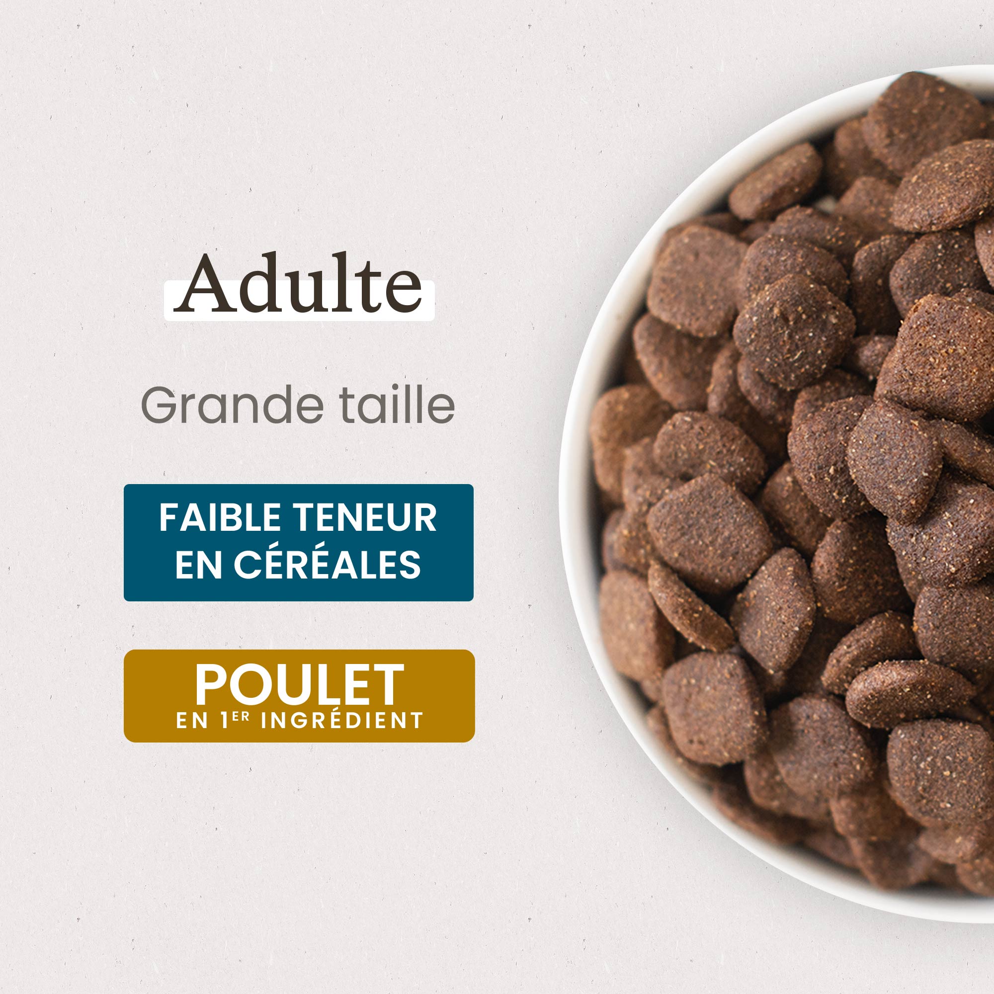 Zoom gamelle de croquettes Super Premium pour chien adulte de grande taille