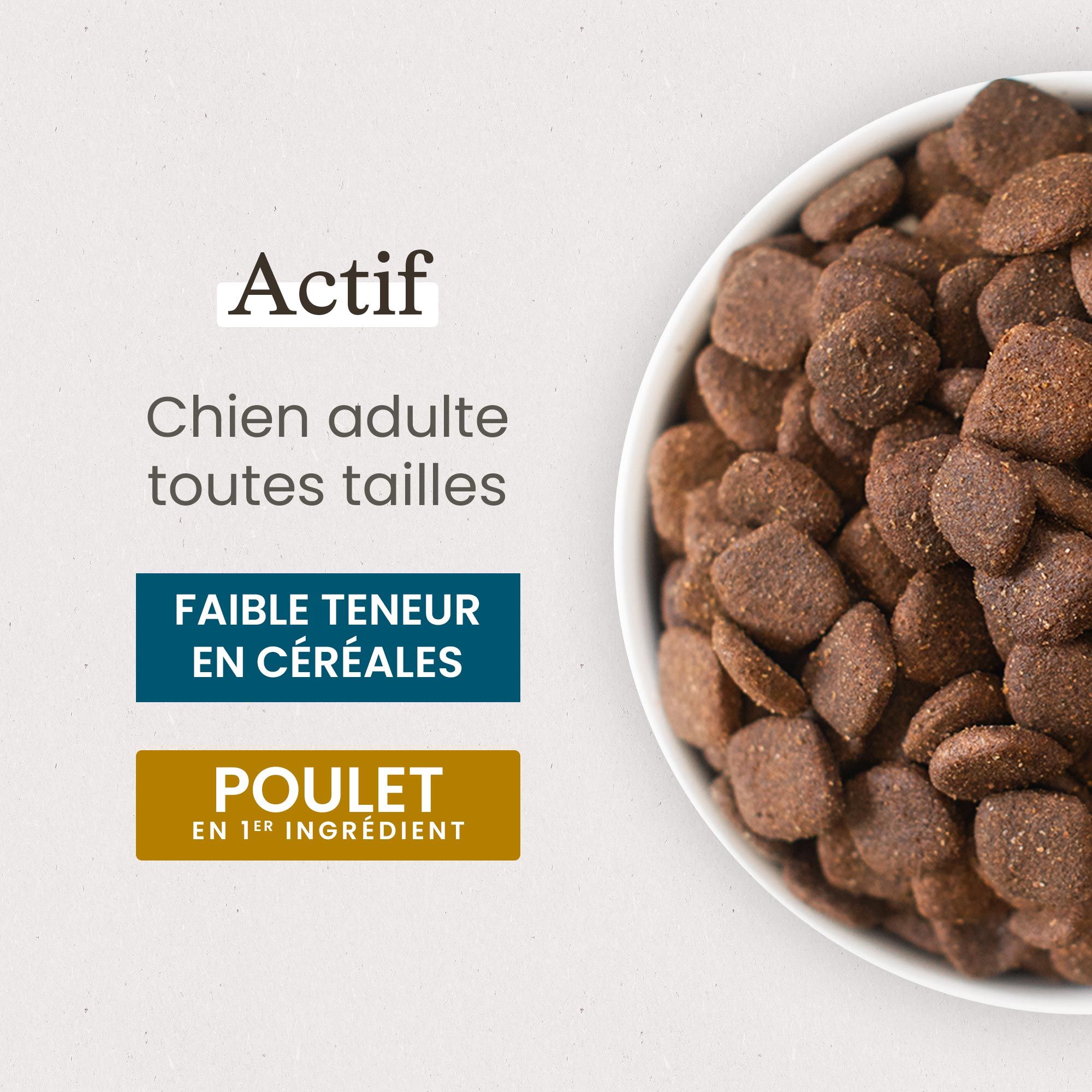 Zoom gamelle contenant les croquettes Super Premium pour chien actif de toutes tailles en gros plan