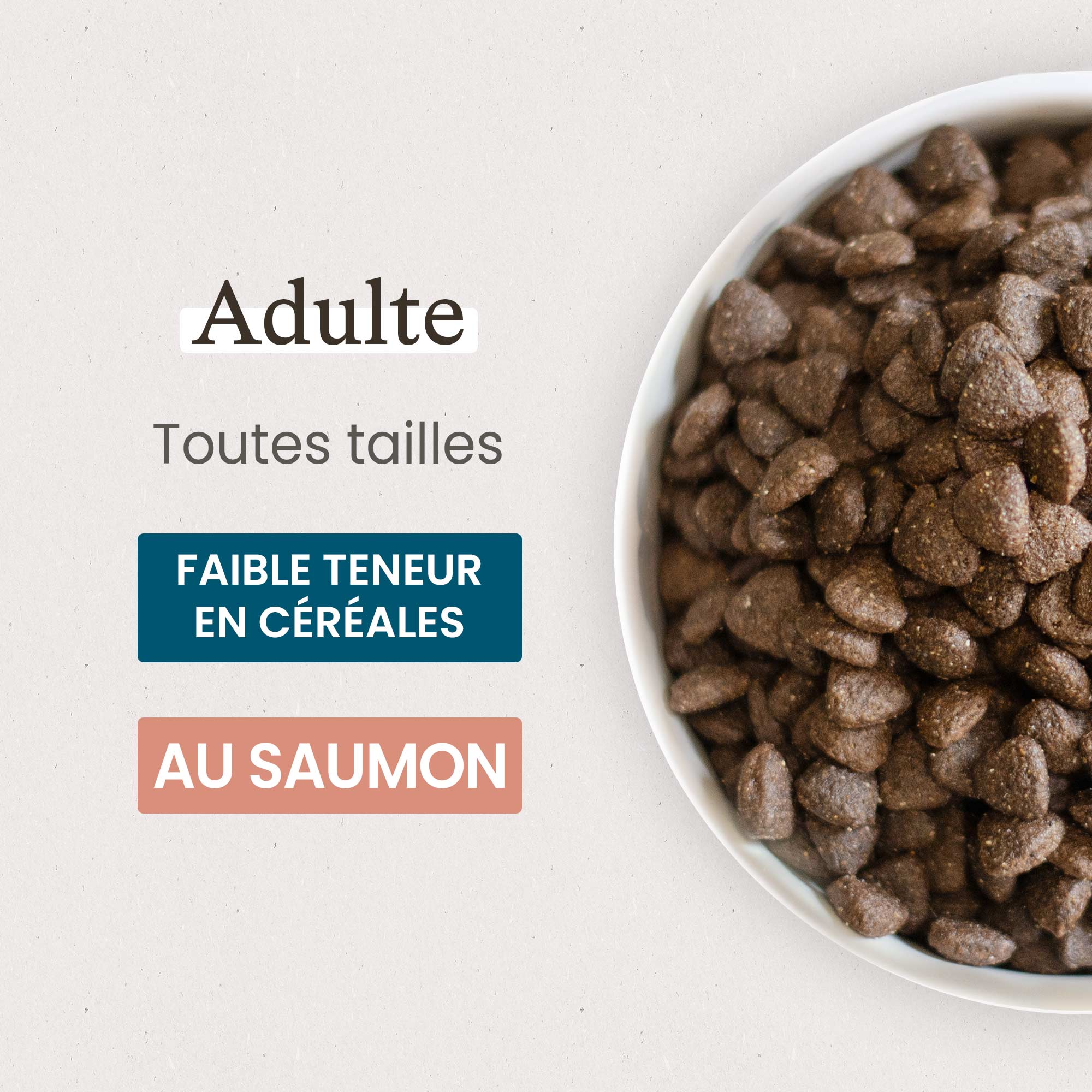 Zoom gamelle contenant les Croquettes Super Premium saumon et riz pour chien adulte de toutes tailles