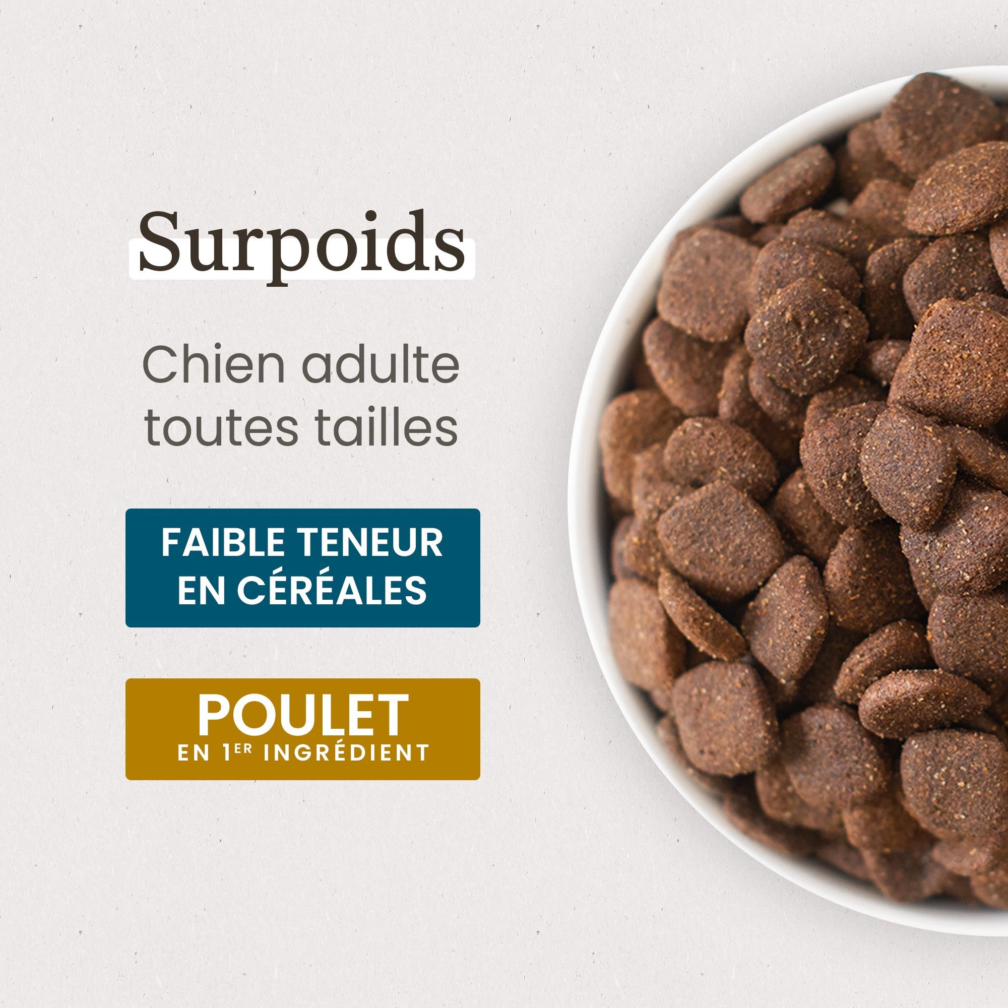 Gamelle contenant les Croquettes Care pour chien adulte stérilisé / surpoids de toutes tailles en gros plan