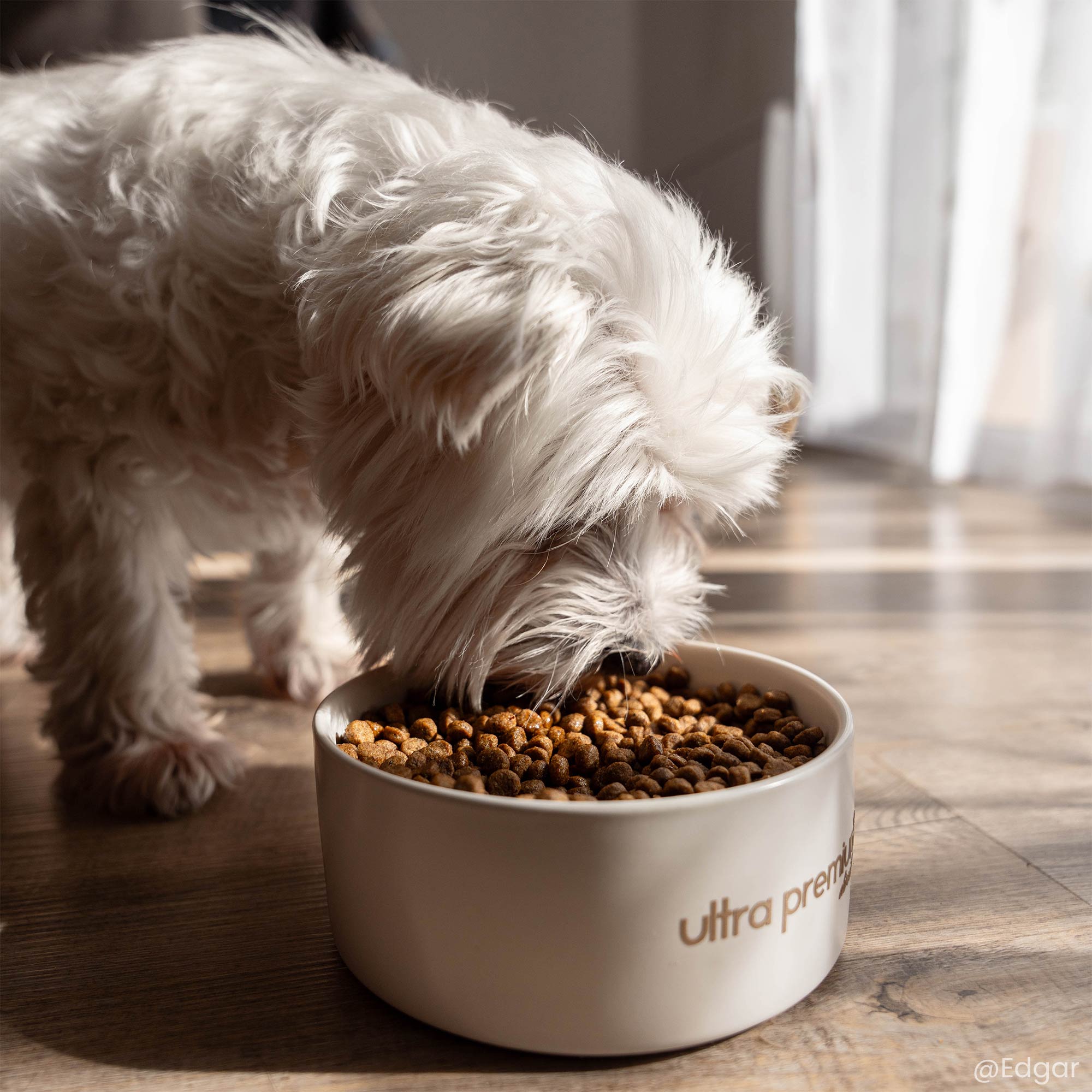 Gamelle contenant les Croquettes Light Super Premium pour chien adulte stérilisé / surpoids de petite taille en gros plan