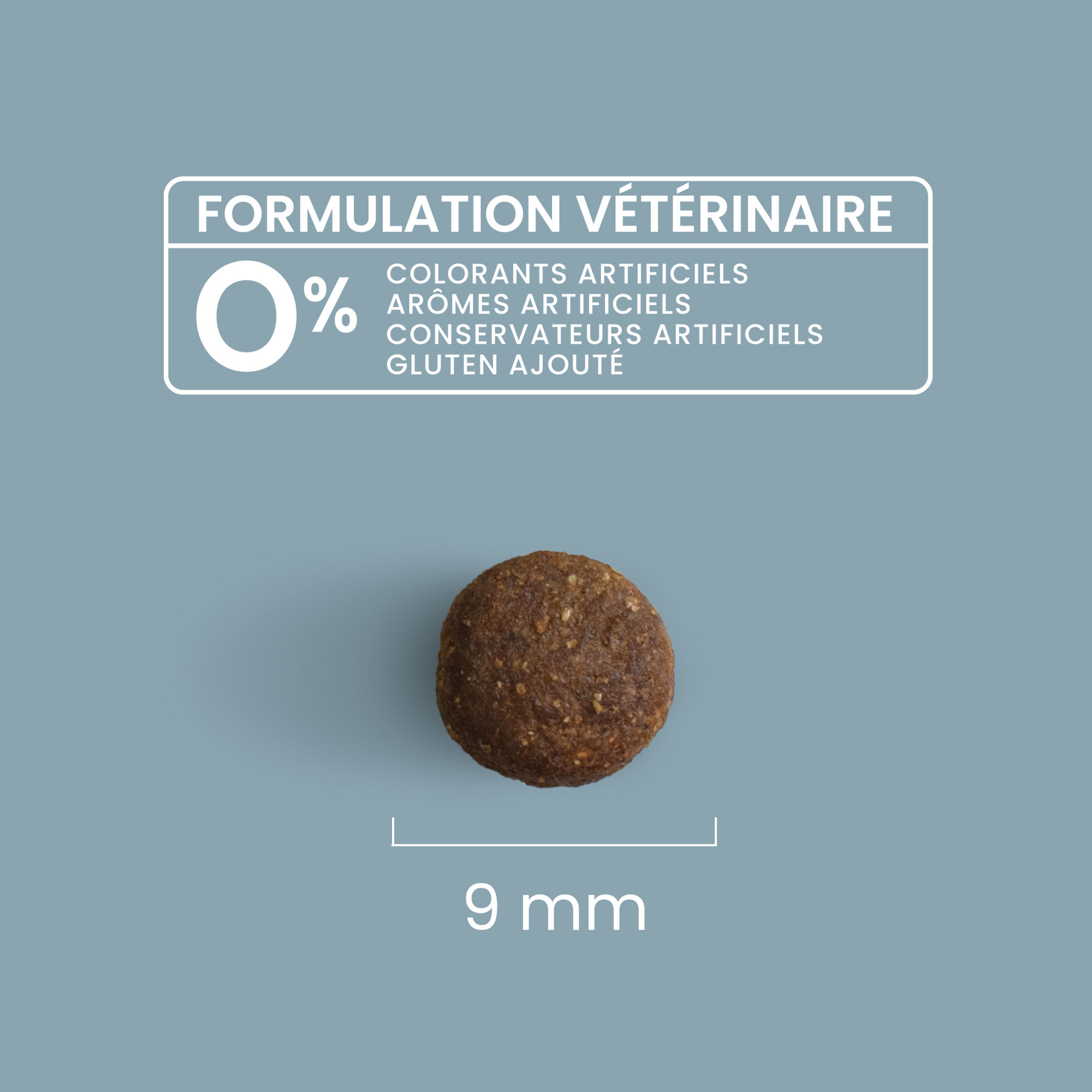 Zoom sur une croquette avec détails de taille et formulation vétérinaire pour chien adulte stérilisé / surpoids de petite taille