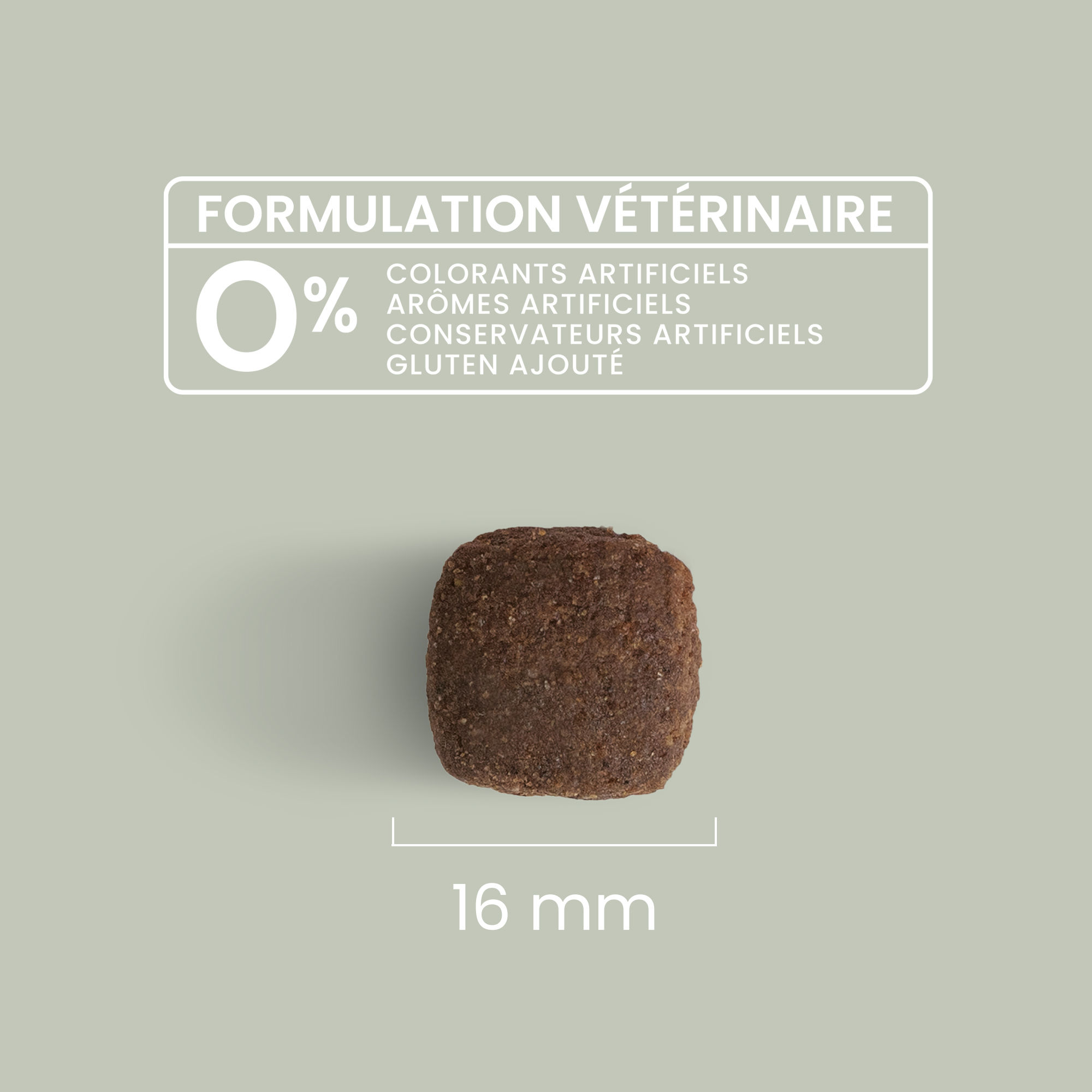 Zoom sur une croquette avec détails de taille et formulation vétérinaire pour chien adulte