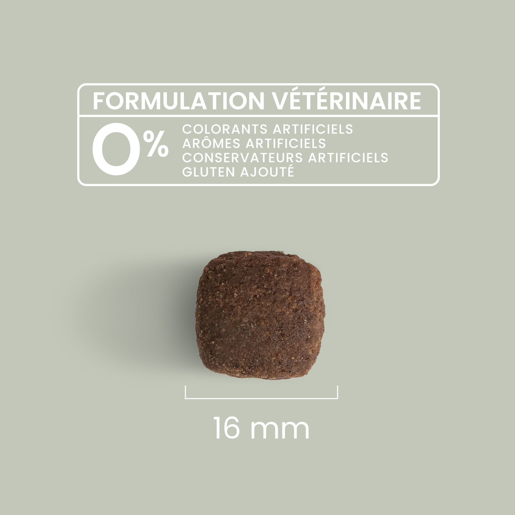 Zoom sur une croquette sans céréales au poulet frais avec détails de taille et formulation vétérinaire