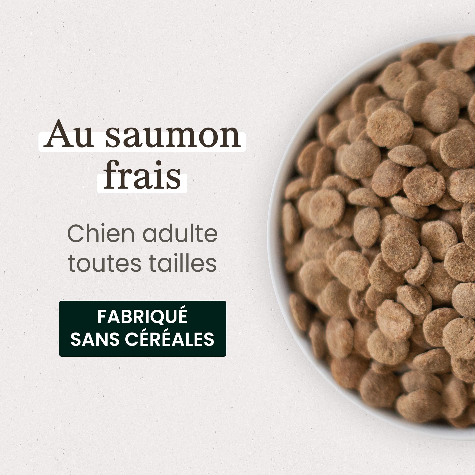 Gamelle contenant les croquettes sans céréales au saumon frais pour chien adulte en gros plan