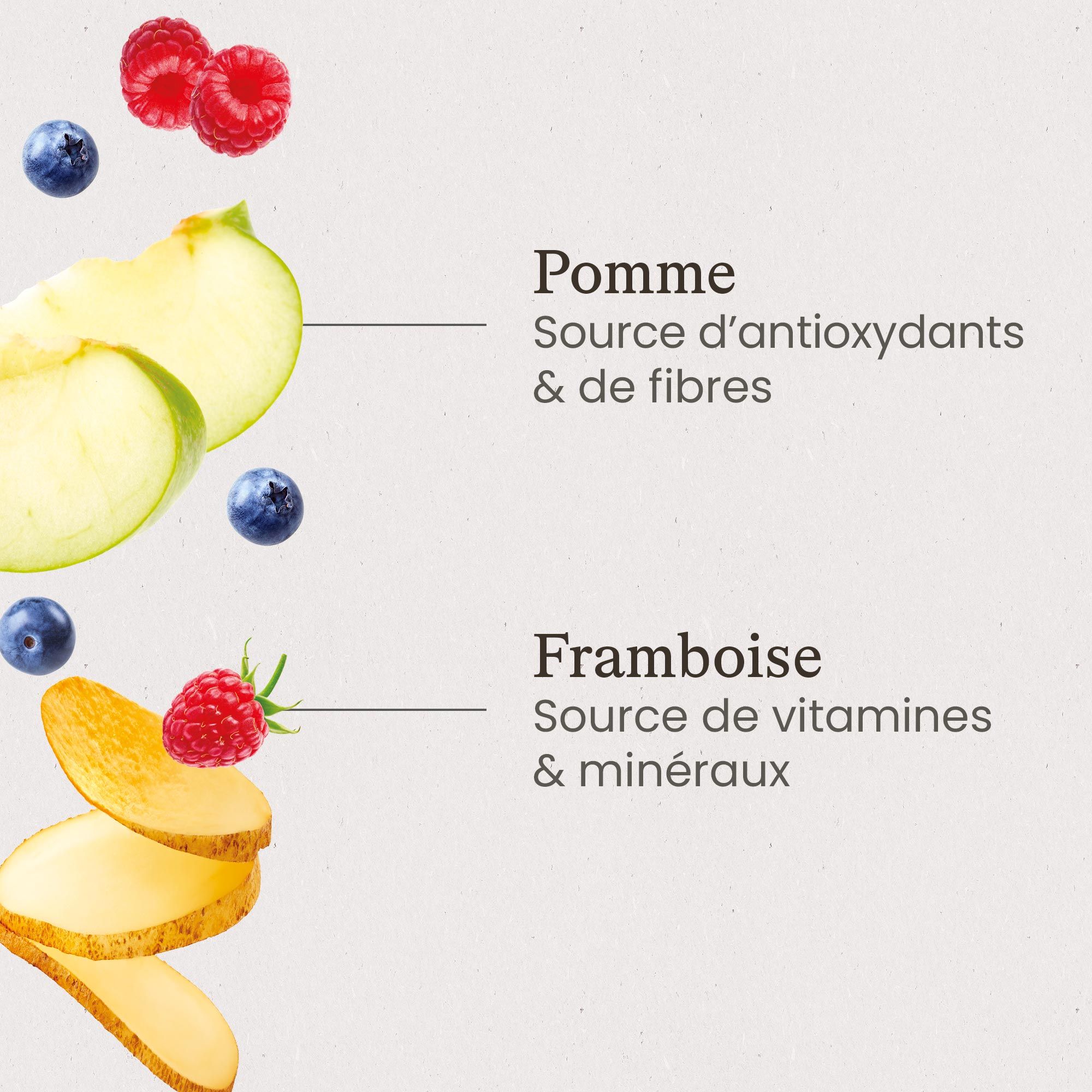 Zoom sur les ingrédients de la recette de croquettes sans céréales au saumon frais