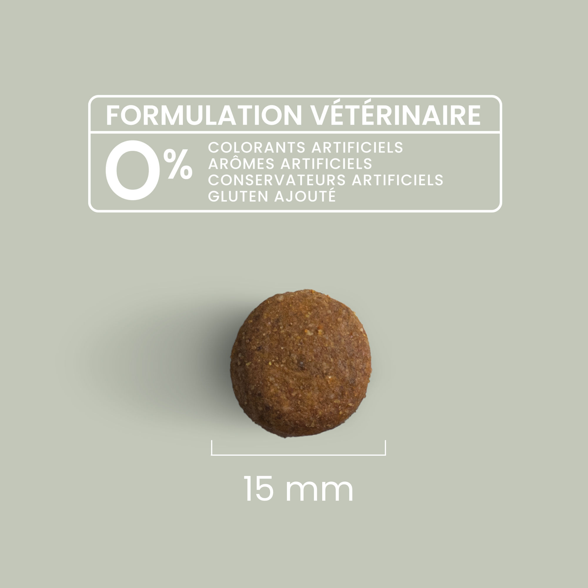 Zoom sur une croquette sans céréales au saumon frais avec détails de taille et formulation vétérinaire