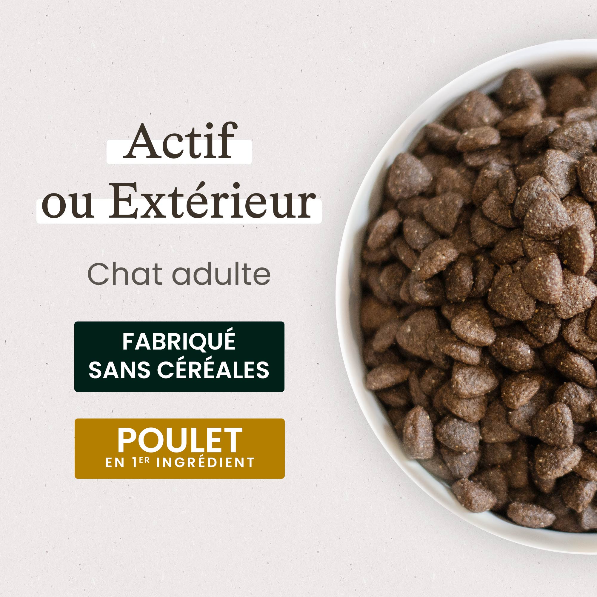 Gamelle contenant les croquettes sans céréales pour chat adulte actif ou d'extérieur  avec chat