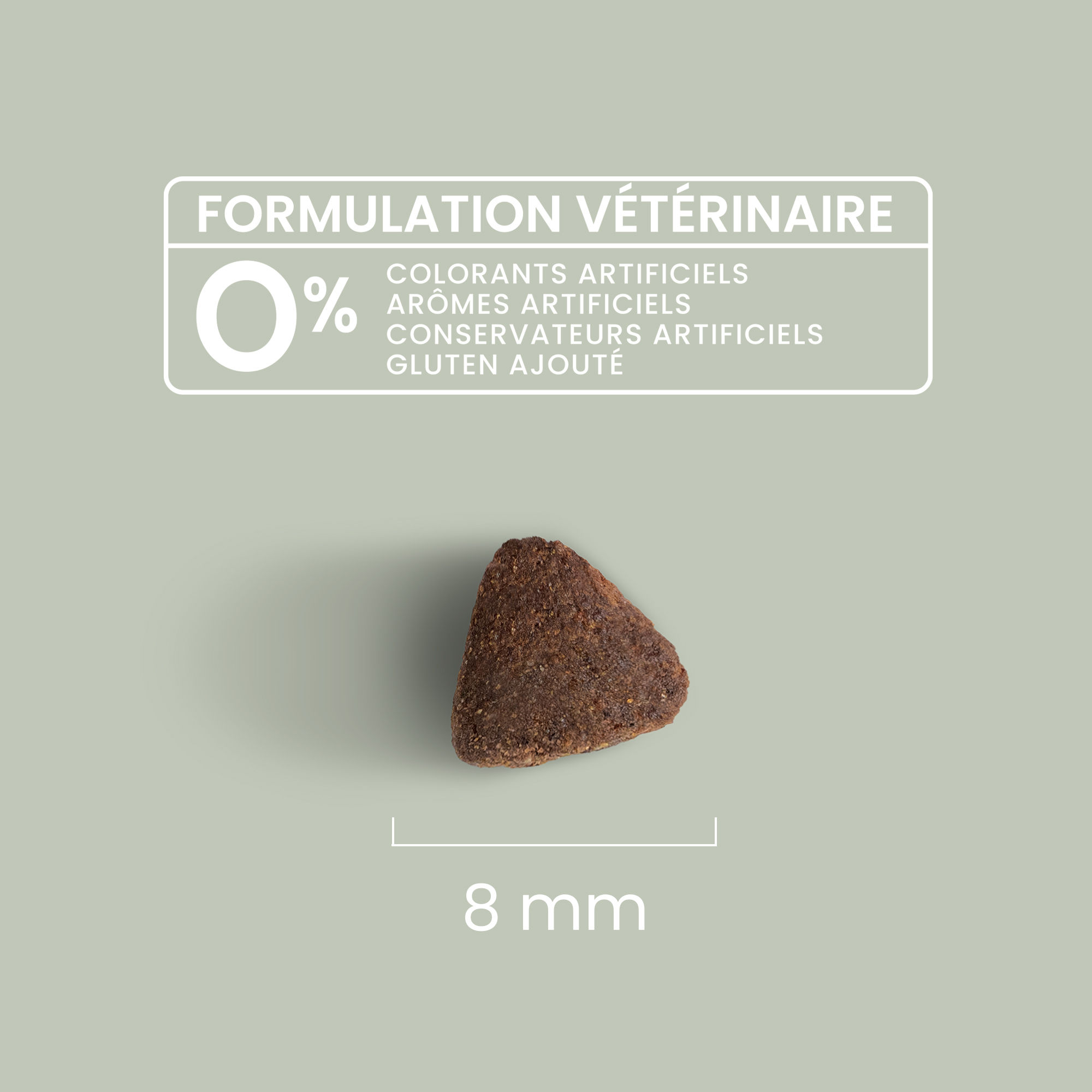 Zoom sur une croquette sans céréales pour chat adulte actif ou d'extérieur avec détails de taille et formulation vétérinaire