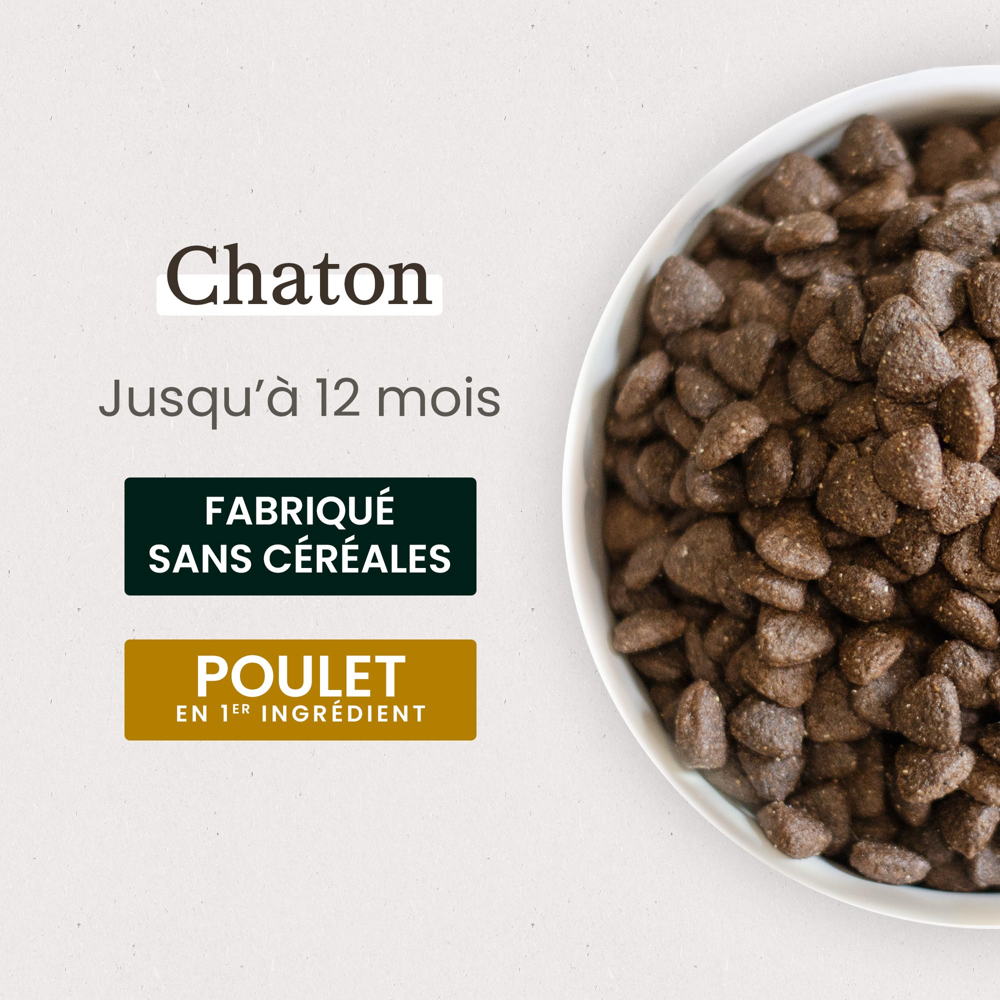 Zoom sur une gamelle de croquettes sans céréales pour chaton avec détails de taille et formulation vétérinaire