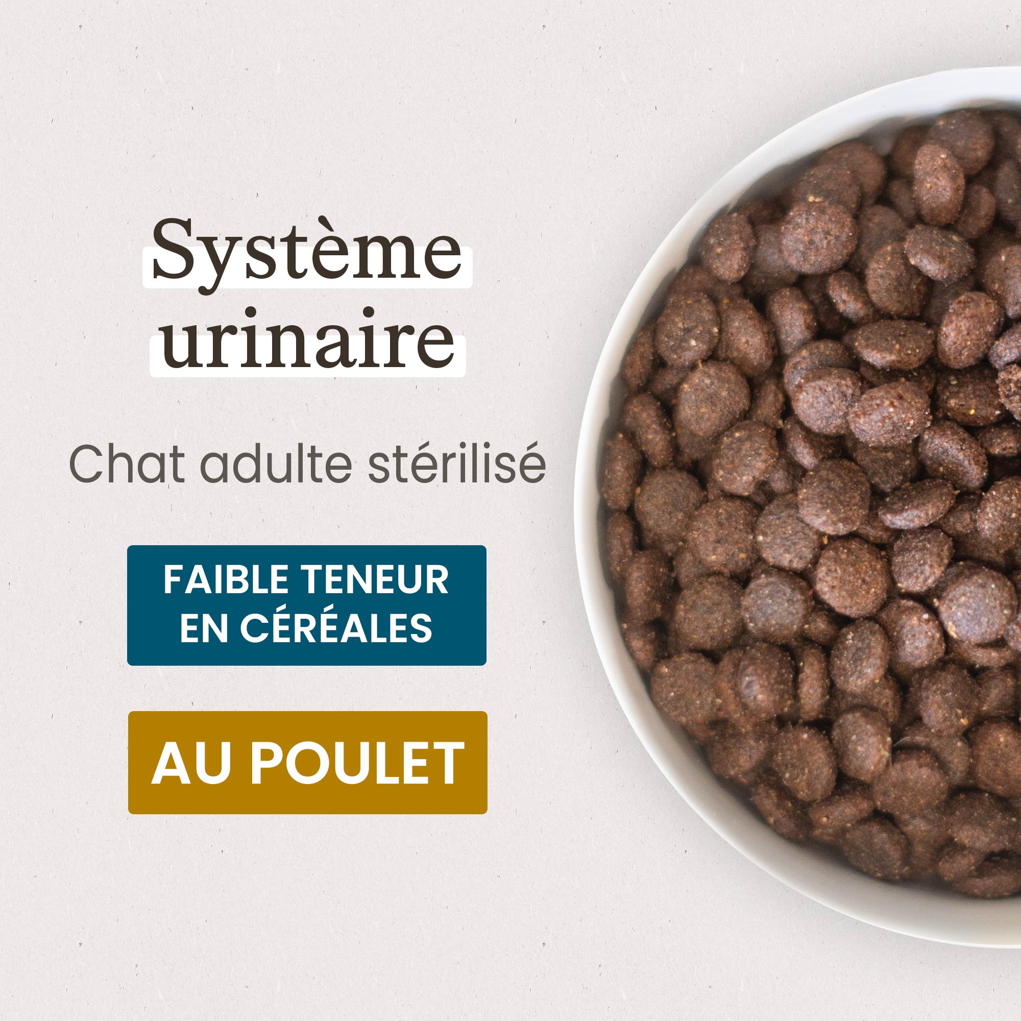 Zoom sur une gamelle contenant les croquettes Care pour chat adulte stérilisé système urinaire en gros plan