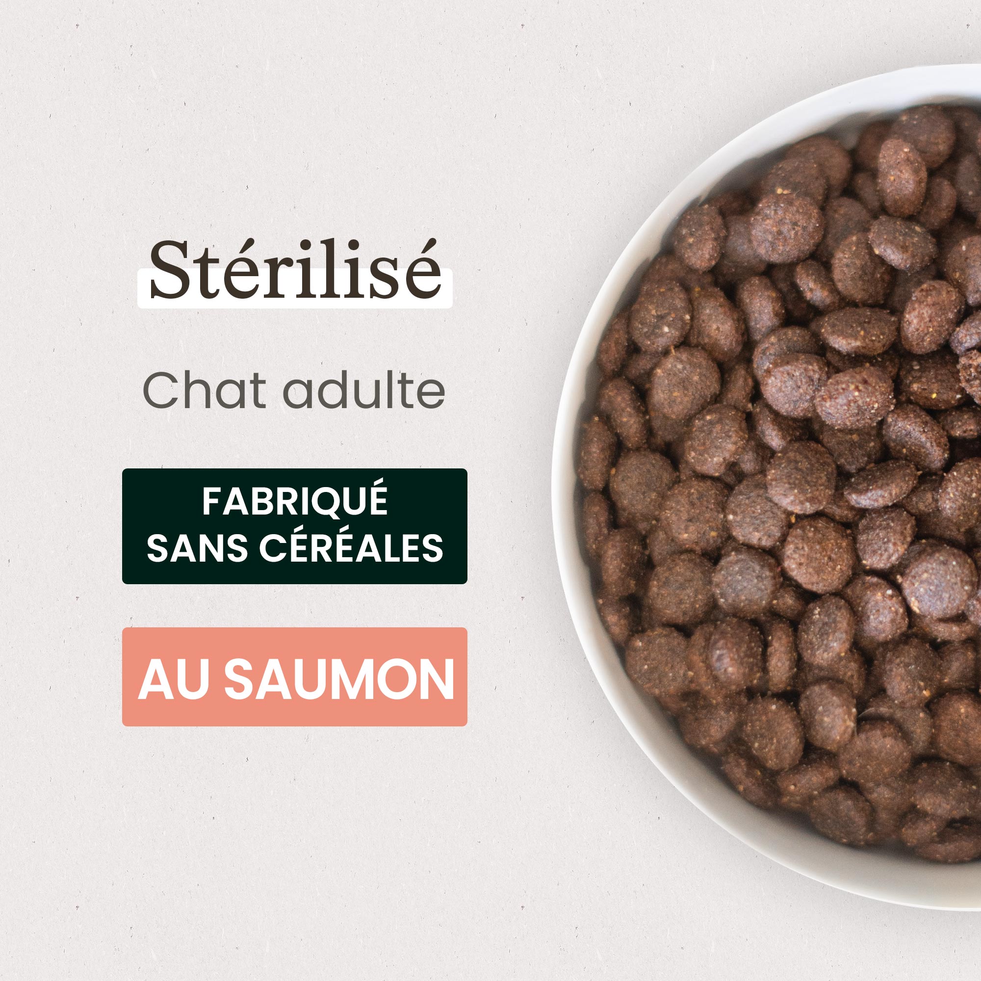 Zoom sur une gamelle de croquettes sans céréales au saumon pour chat adulte stérilisé