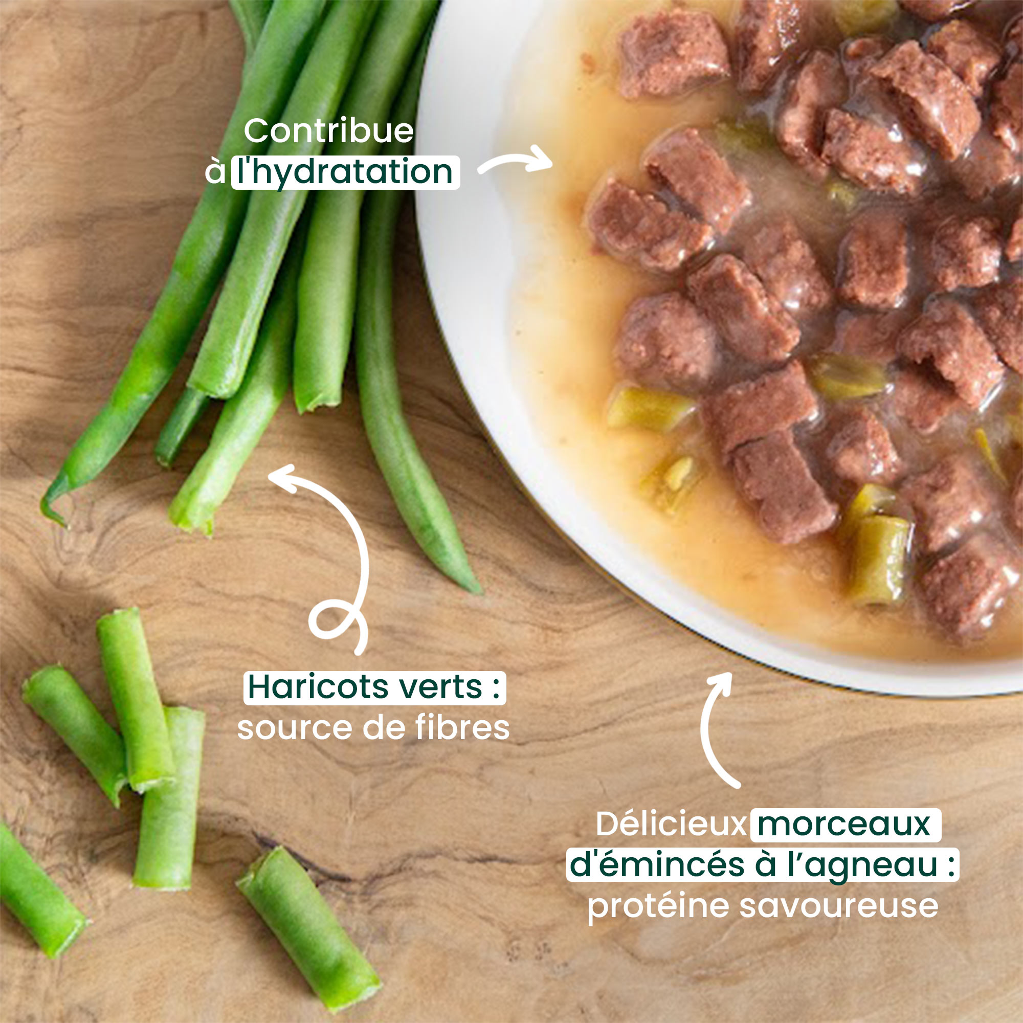  Tendres émincés en sauce pour chien dans une assiette - Agneau & haricots verts