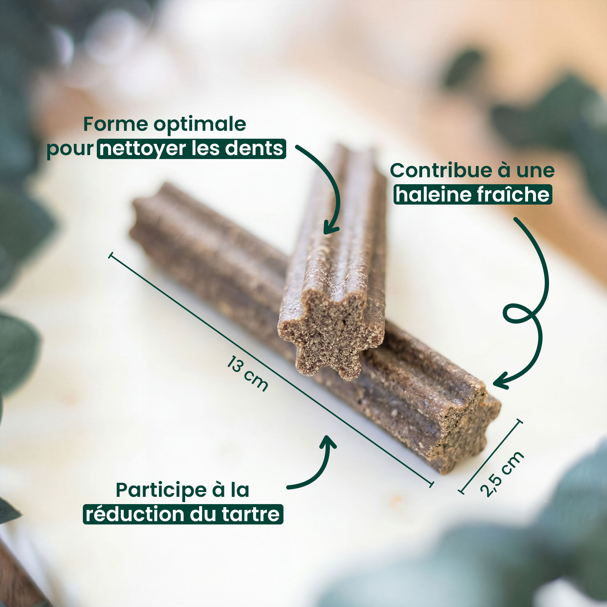 Zoom sur un bâtonnet à mâcher pour chien de +25kg, avec détails de taille + bienfaits