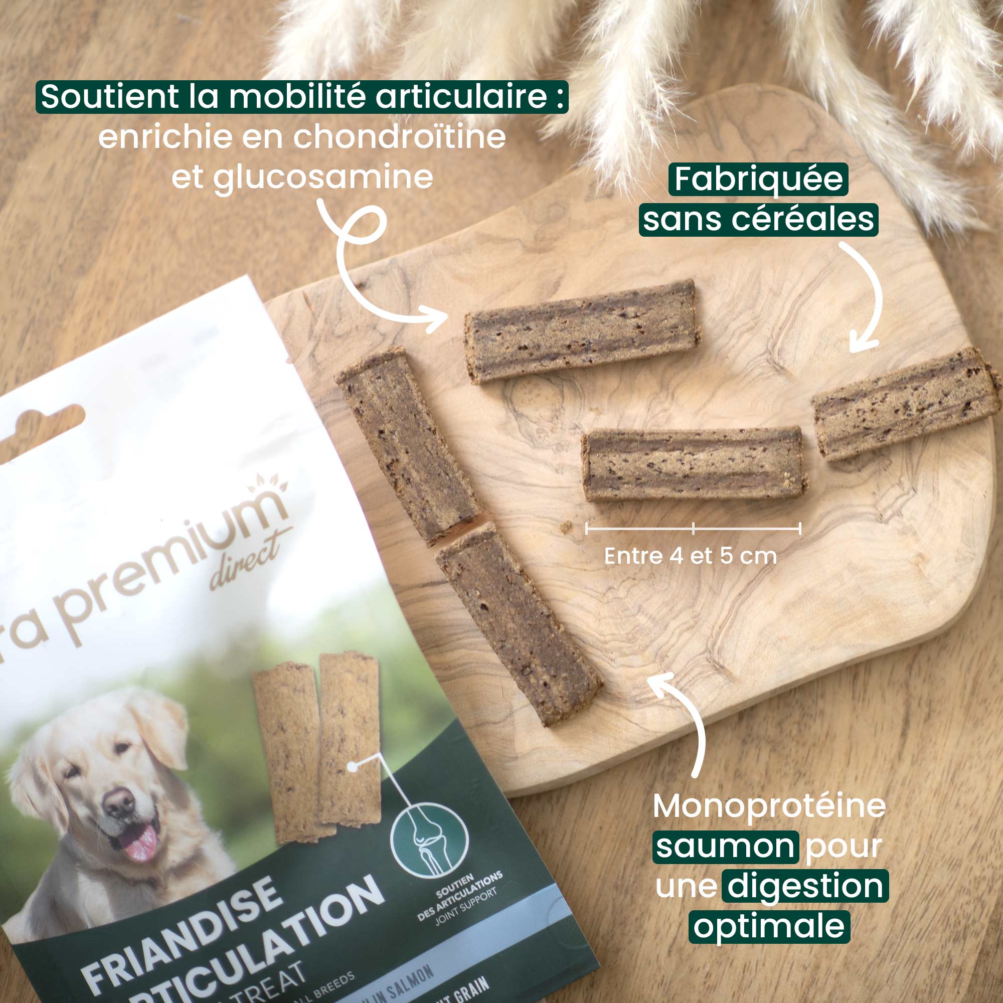 Friandises articulation sans céréales pour chien sur une table + bienfaits