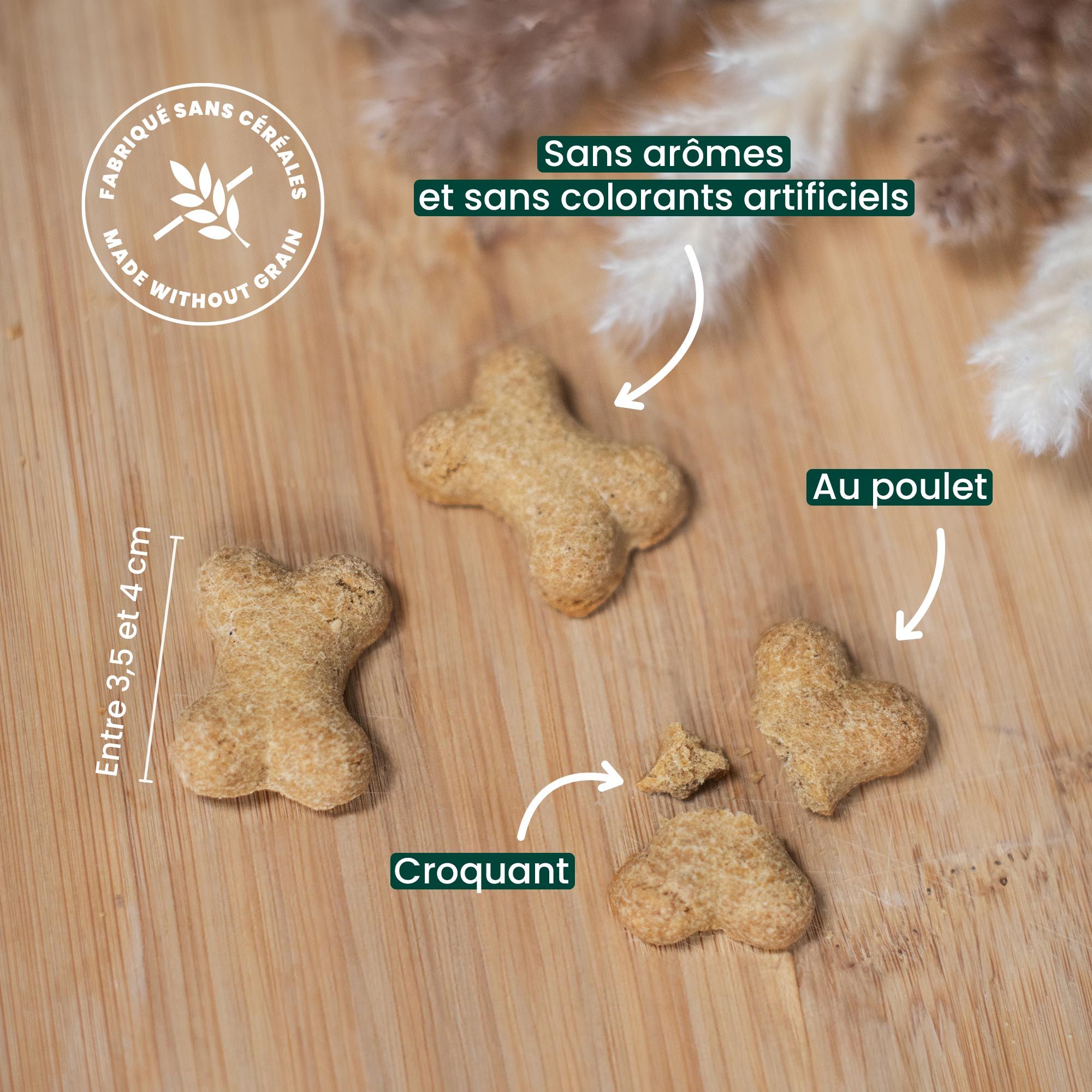 Biscuits de 4cm, croquant au poulet