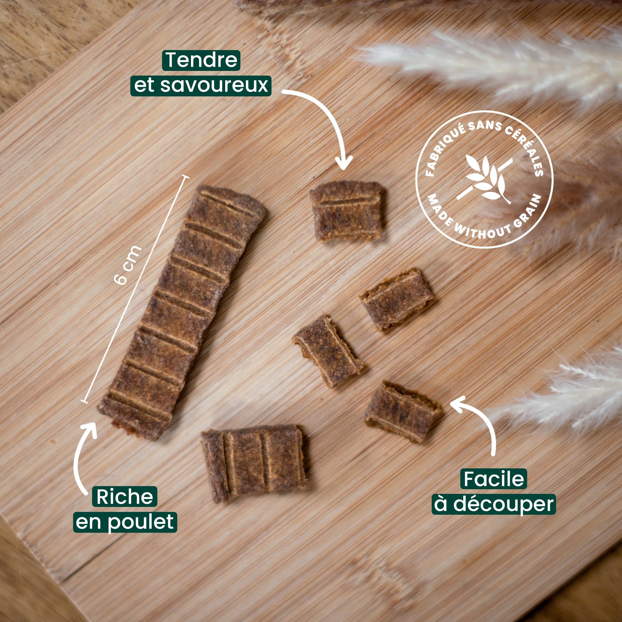 Shiba Inu qui sent la friandise lamelle riche en poulet