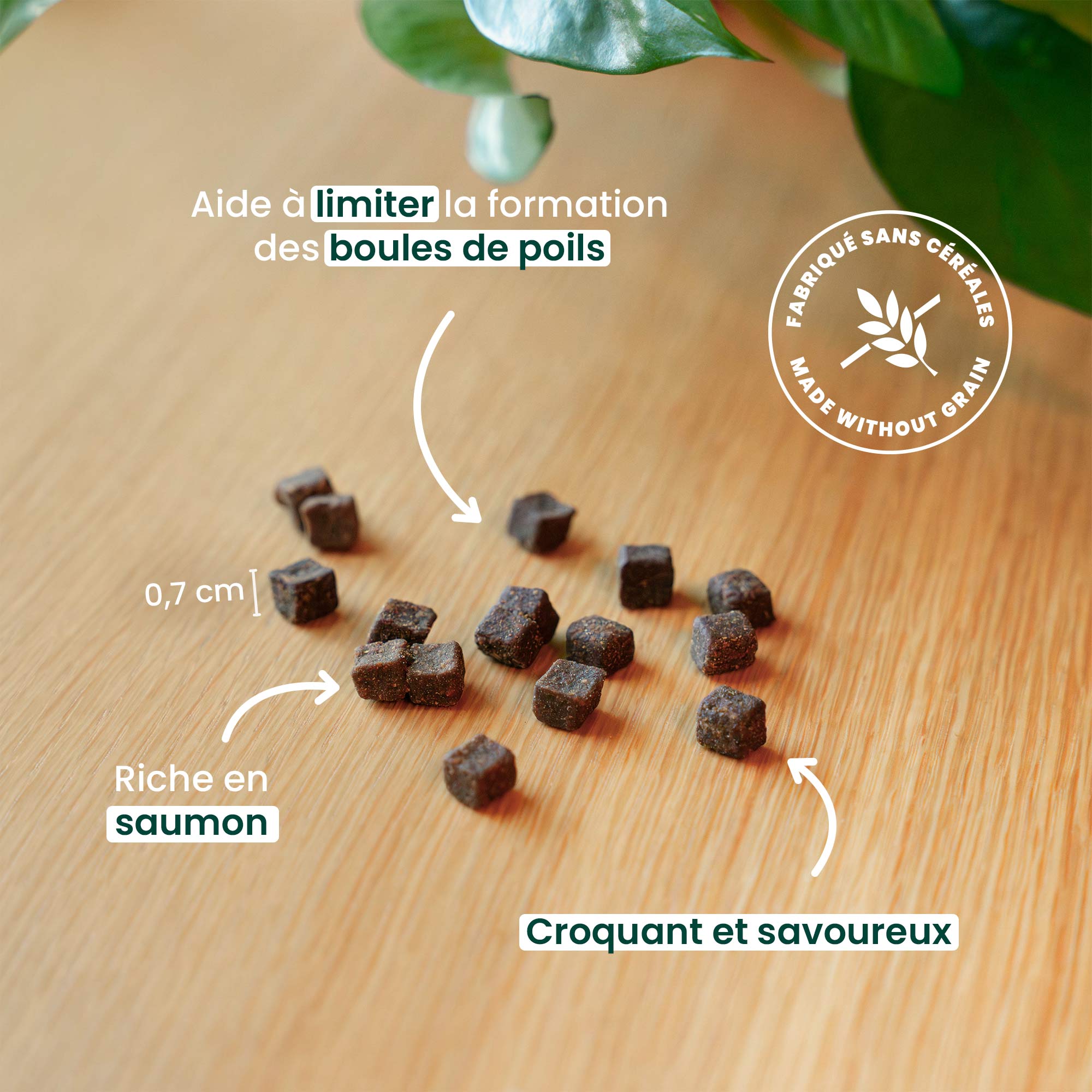 Bien fait des friandises anti-boules de poils