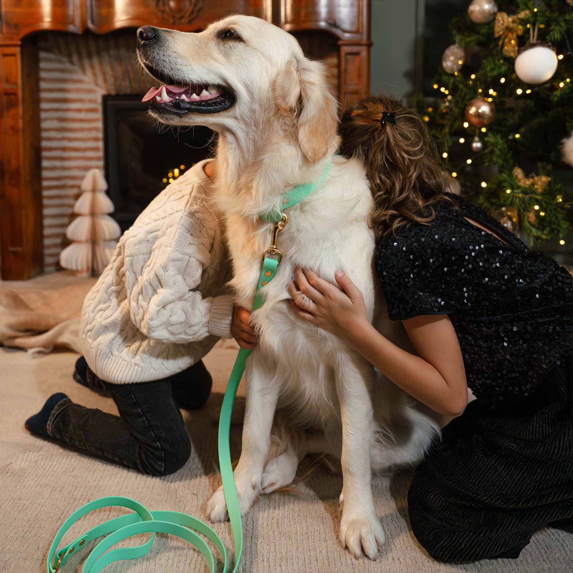 Cocker avec un collier S et laisse vert sauge Fidèle Paris en partenariat avec Ultra Premium Direct