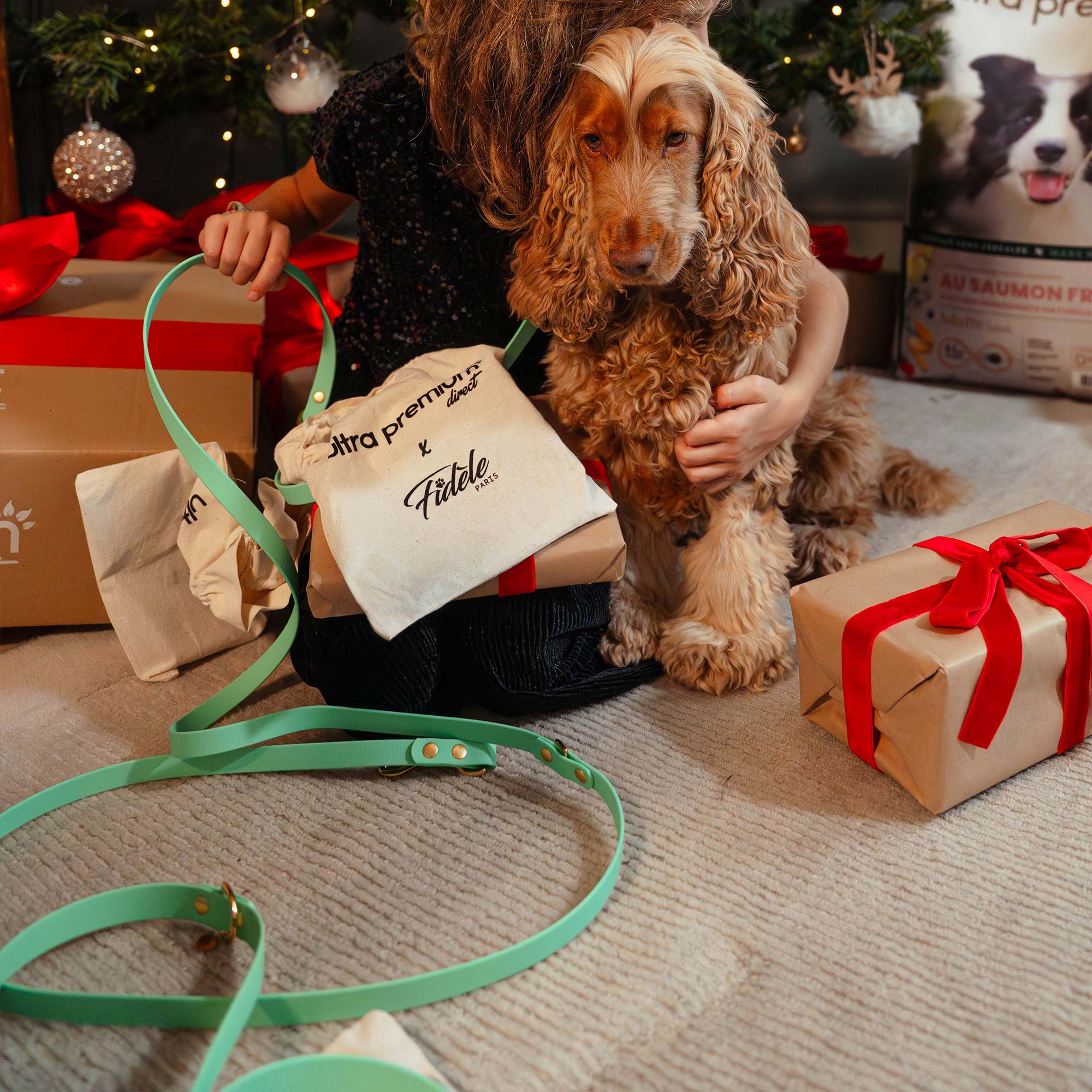 Dalmatien avec un collier et une laisse vert sauge Fidèle Paris en partenariat avec Ultra Premium Direct