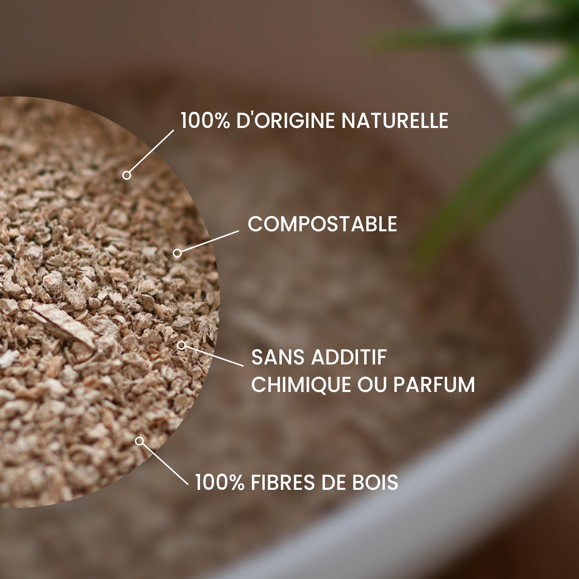 Mise en avant des bienfaits et de la texture de la litière végétale pour chat