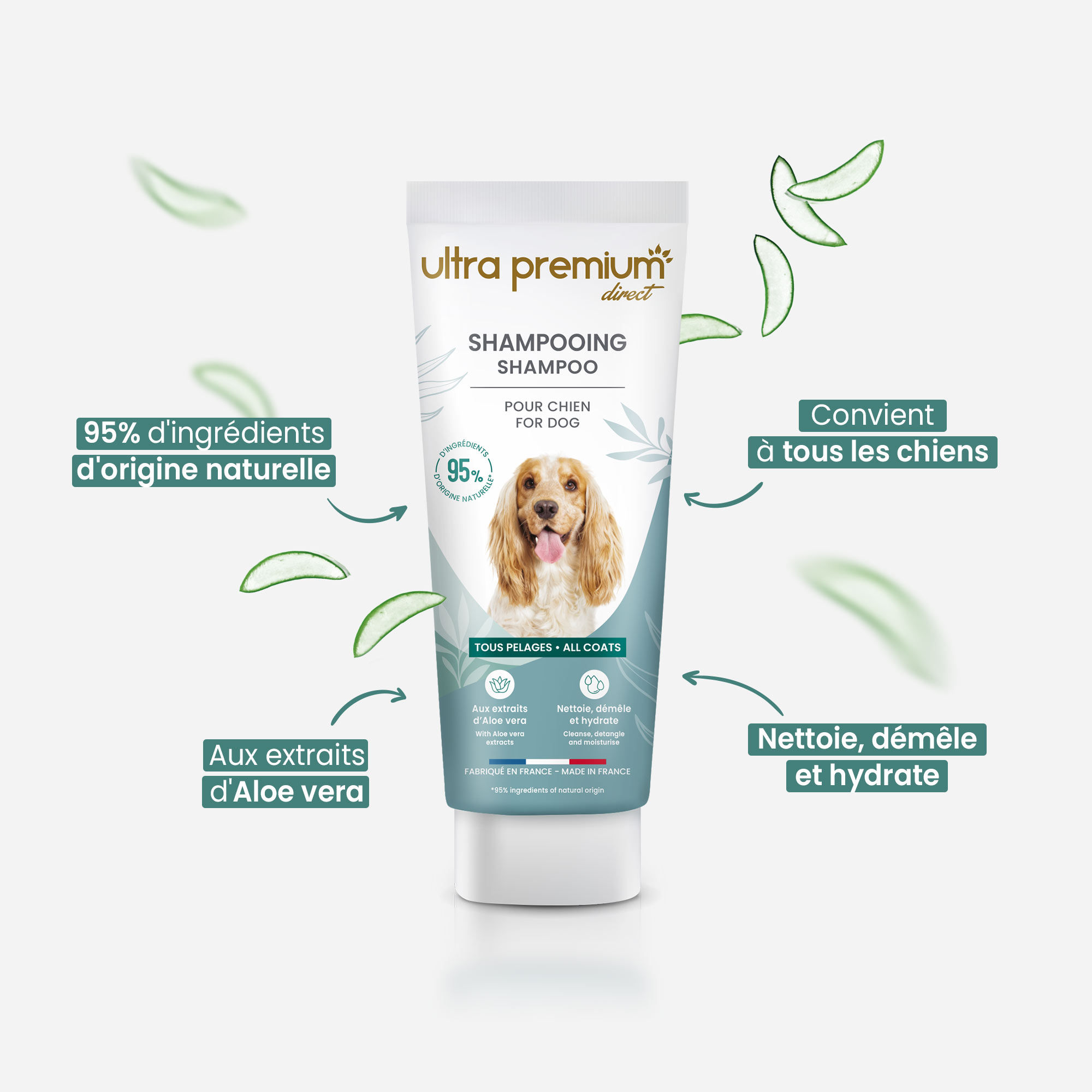 Mise en avant des bienfaits du shampooing pour tous pelages de chien