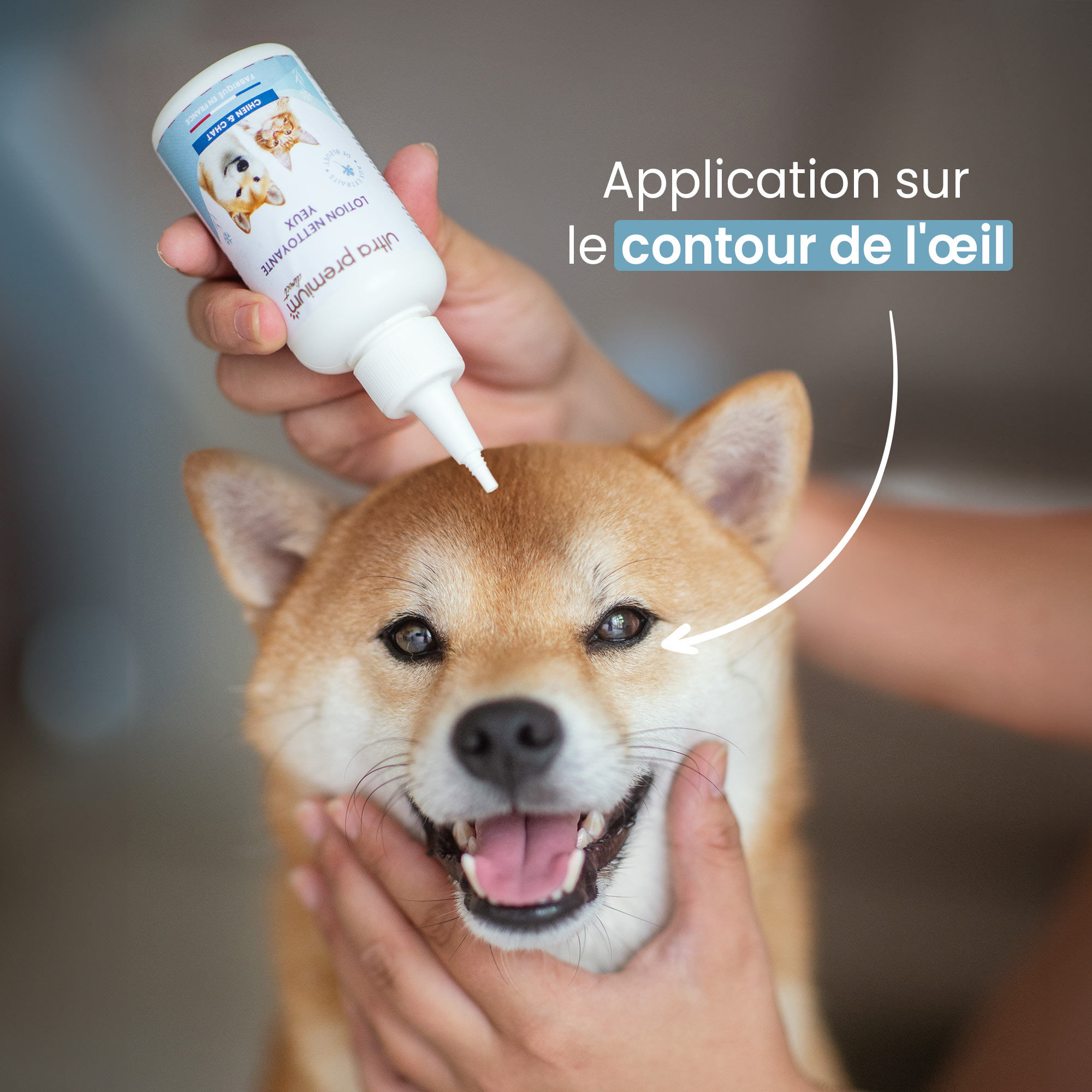 Lotion nettoyante yeux à côté d'un Shiba Inu