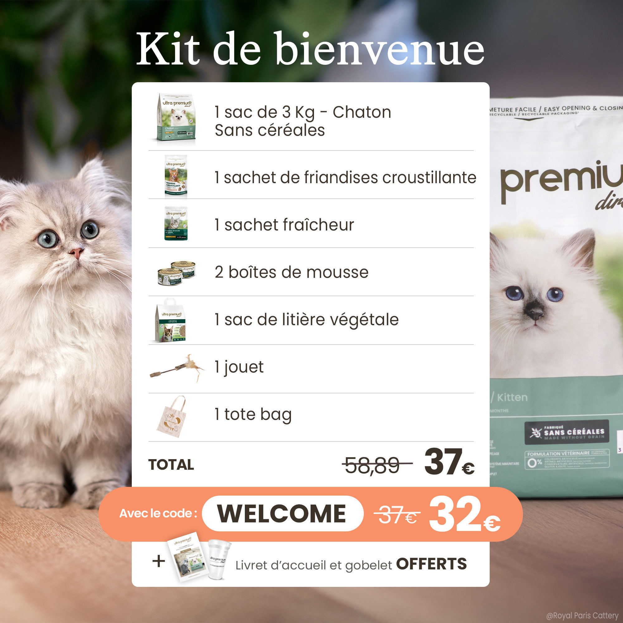 Détail des produits présents dans le Kit chaton avec les prix associés 