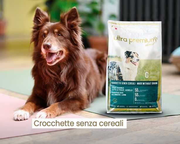 crocchette fatte senza cereali cane
