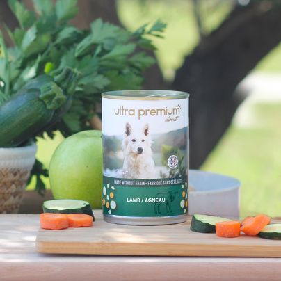 12 scatolette di cibo umido per cani senza cereali - Agnello, zucchine e carote
