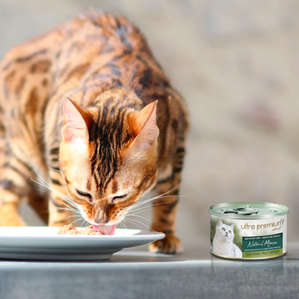 Campione di cibo umido per gatti senza cereali - Natural Mousse al Pollo