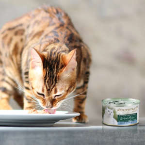 Campione di cibo umido per gatti senza cereali - Natural Mousse alla Sogliola