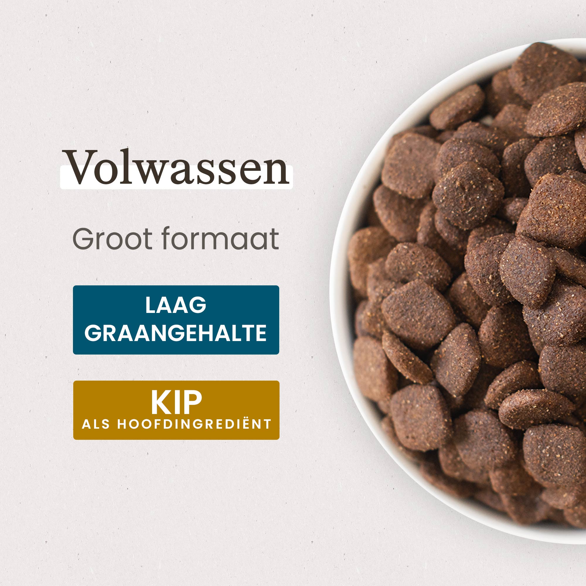 Kom met Super Premium brokken voor grote volwassen hond in close-up