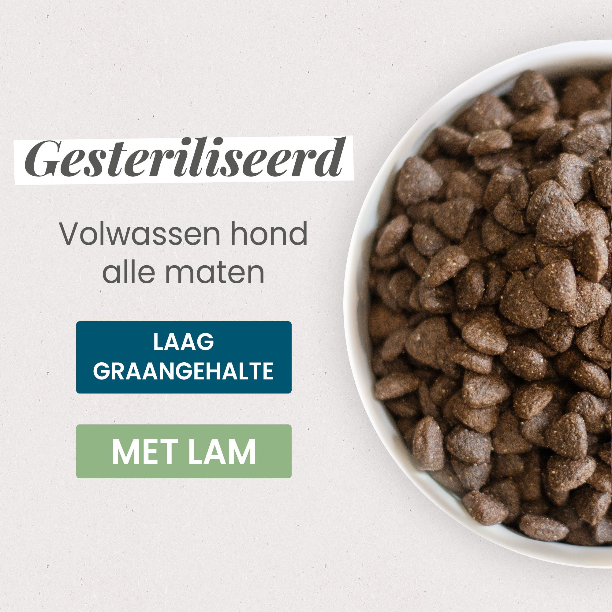 Kom met Light Super Premium Brokken voor gesteriliseerd / overgewicht volwassen hond van alle groottes in close-up